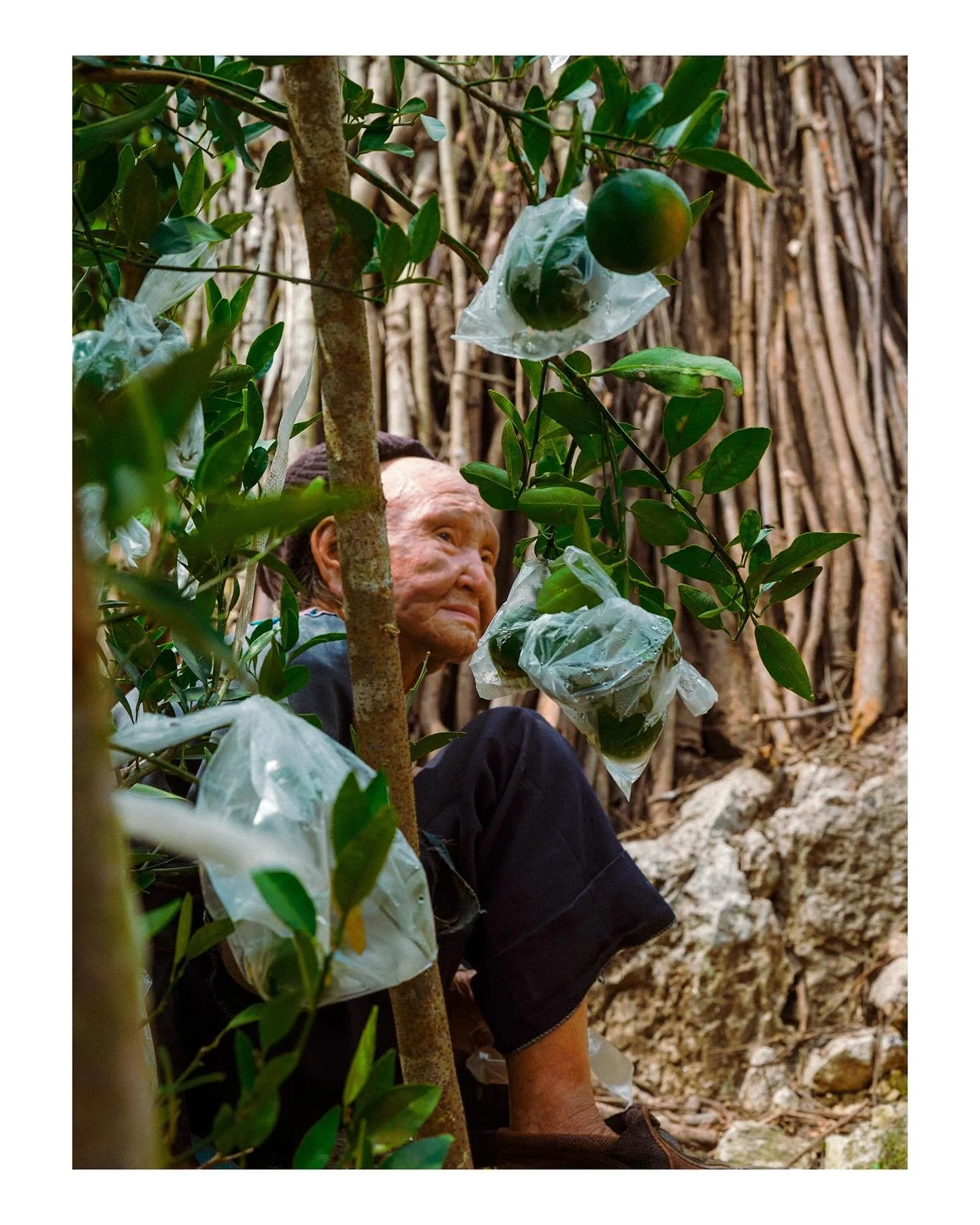 Village life in 格凸 Guizhou 

#miao #miaopeople #hmong #hmongpeople #guizhou #villagelife #visitguizhou #visitchina