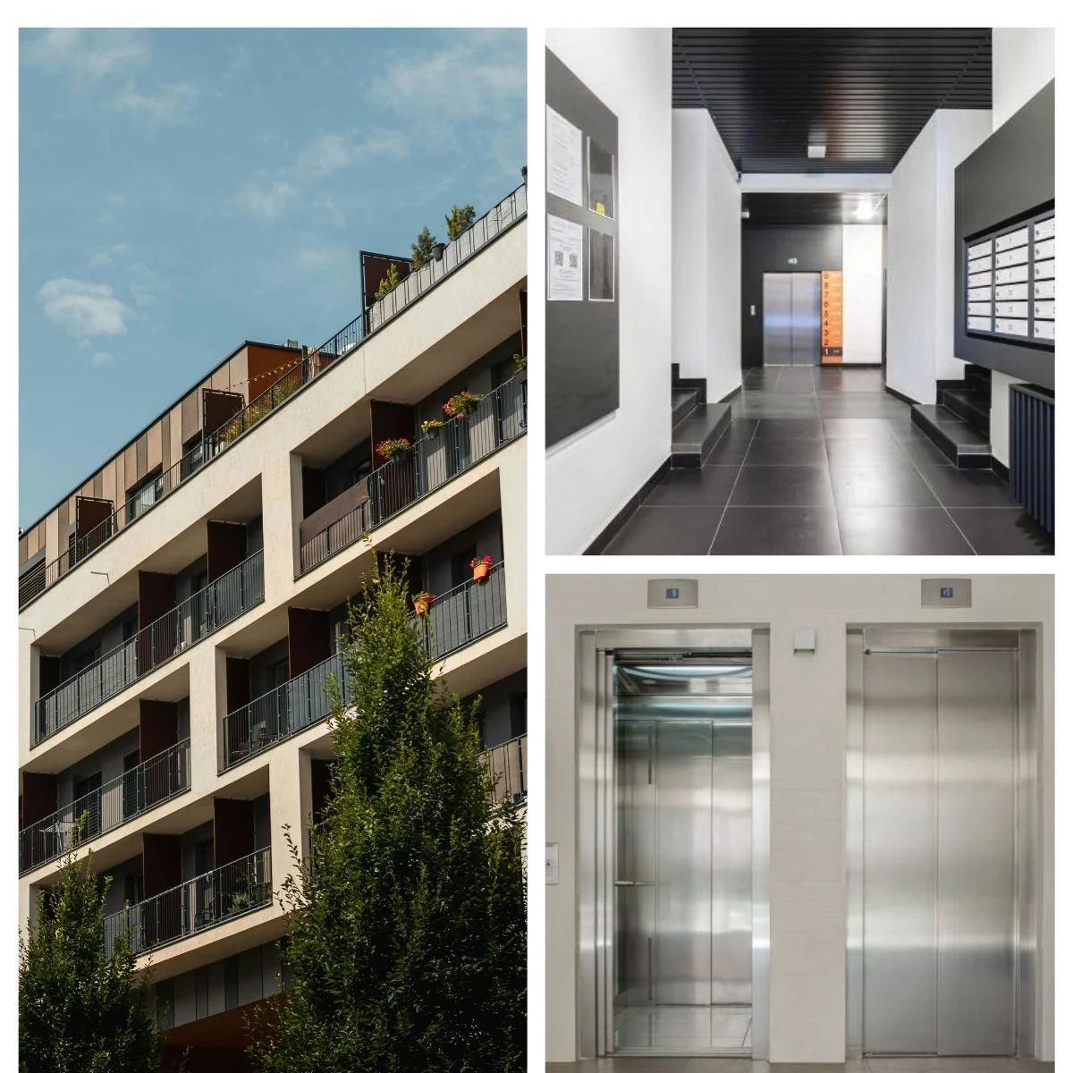 Une image composée de trois parties : une façade d'immeuble avec plusieurs balcons décorés de plantes, un hall d'entrée d'immeuble avec ascenseur et boîtes aux lettres, et deux portes d'ascenseur.
