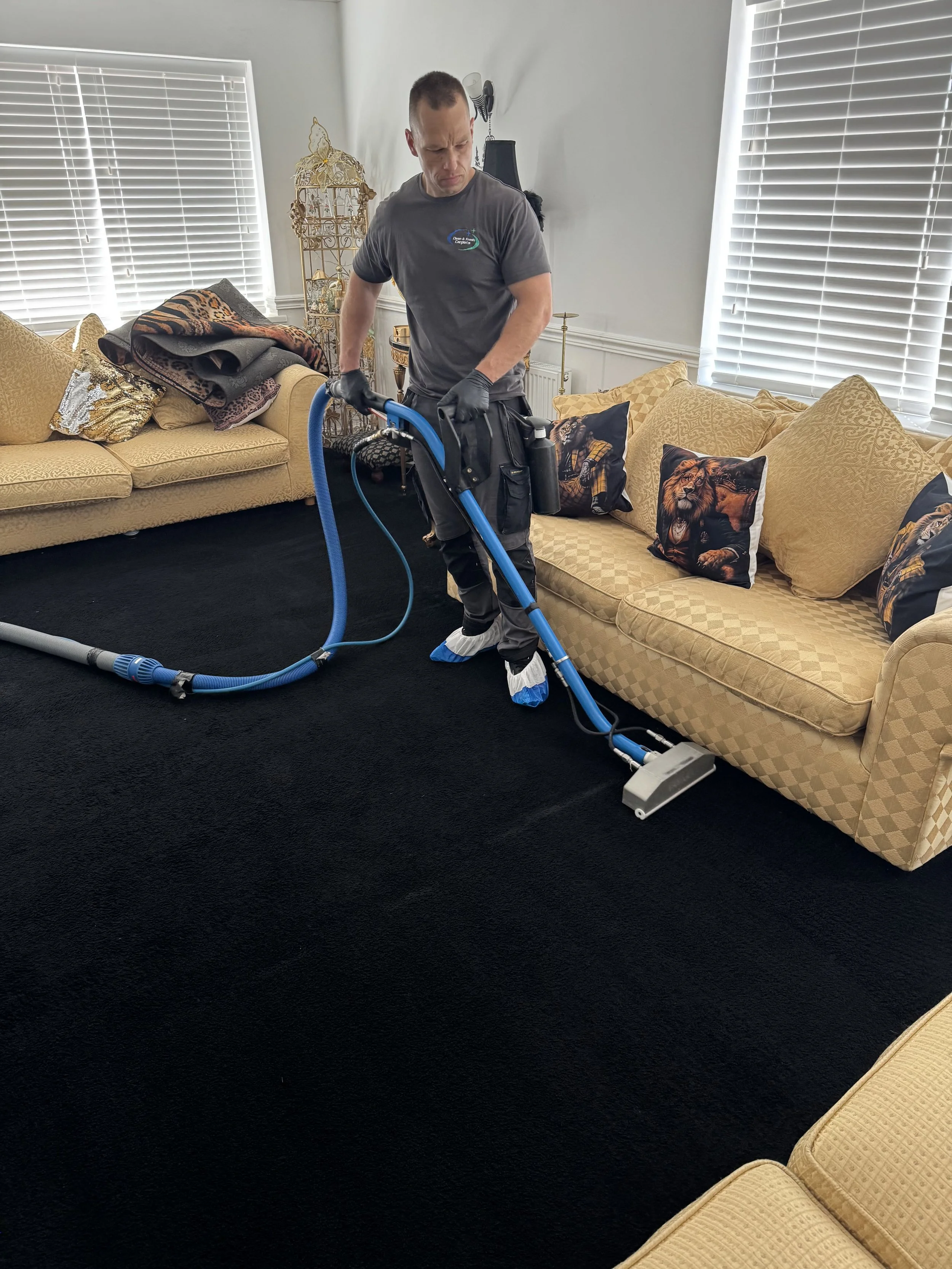 Beautiful carpet restoration by expert cleaning in Blackpool