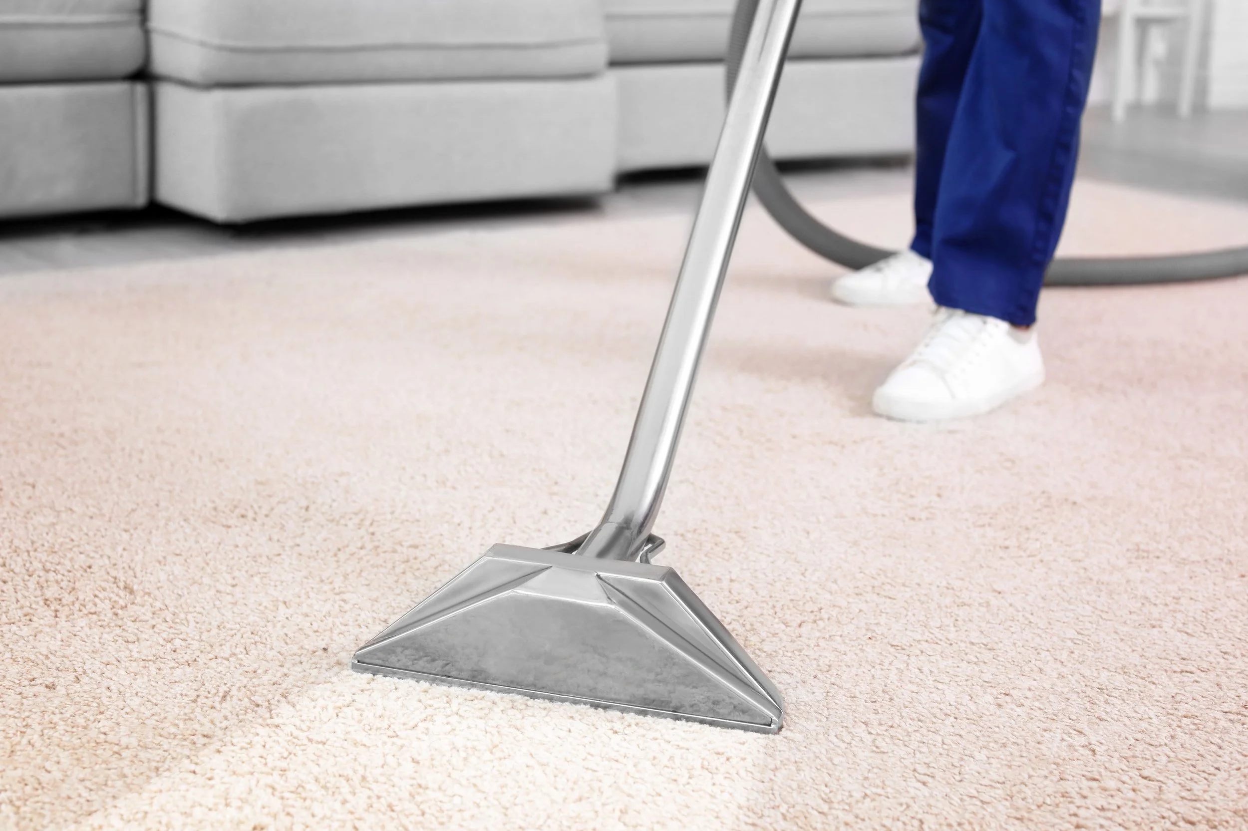 Professional carpet cleaning Blackpool service