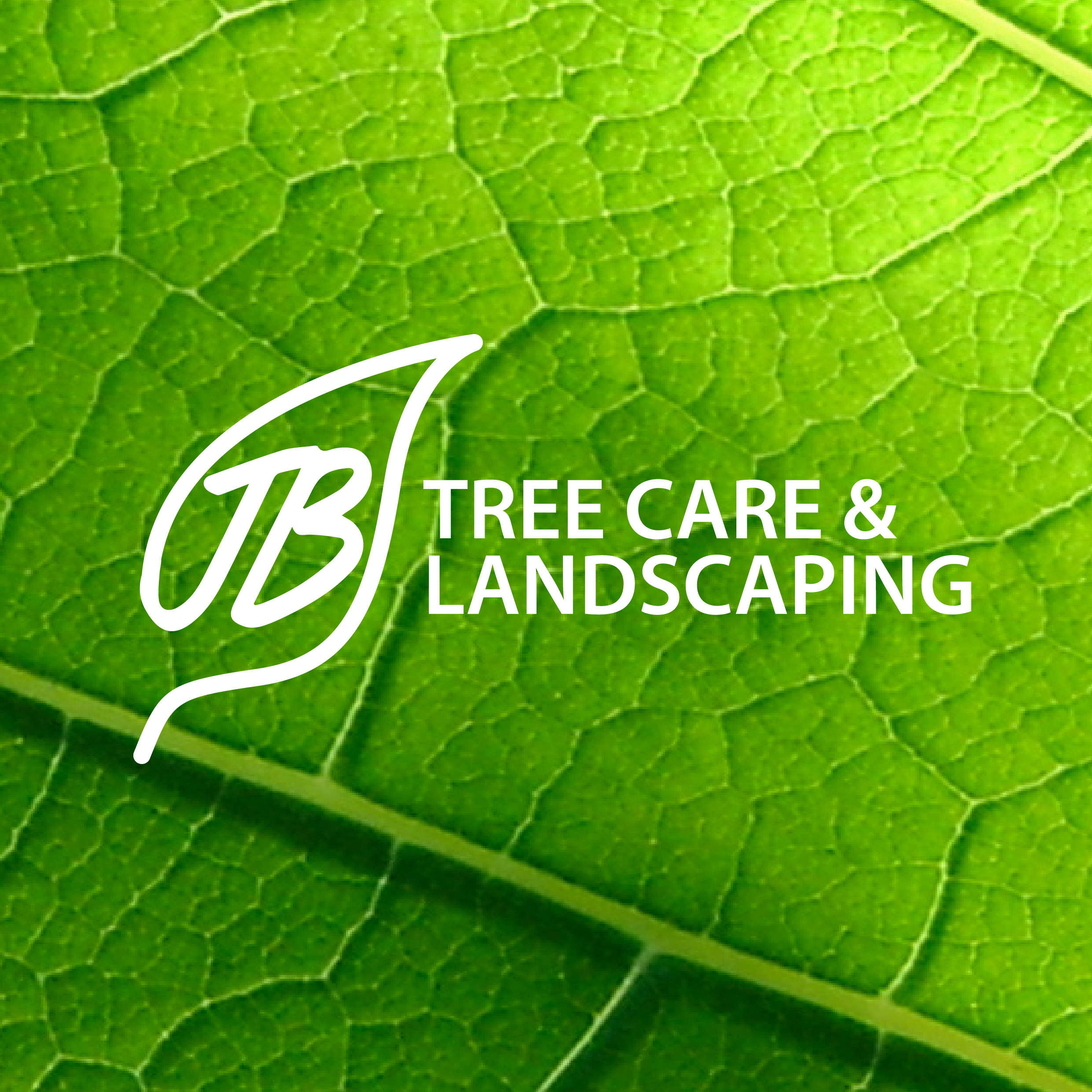 JB Tree Care & Landscaping