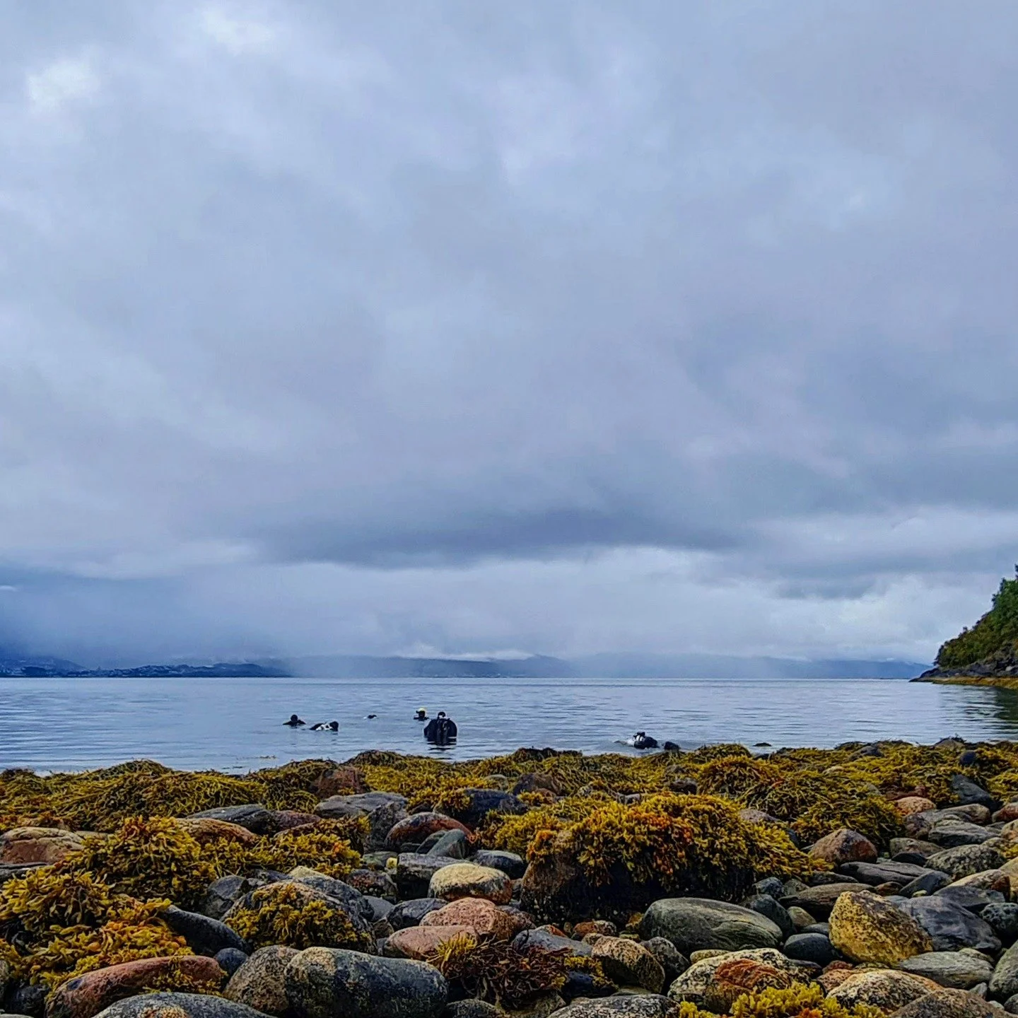 #NordNorgeTreffet er som elgjakta for dykkere. &Aring;rets h&oslash;ydepunkt.
Nesten 50 dykkere er samlet i &aring;r.

**********************************
English:
#NordNorgeTreffet is like the moosehunt for us divers. The highlight of the year.
This 