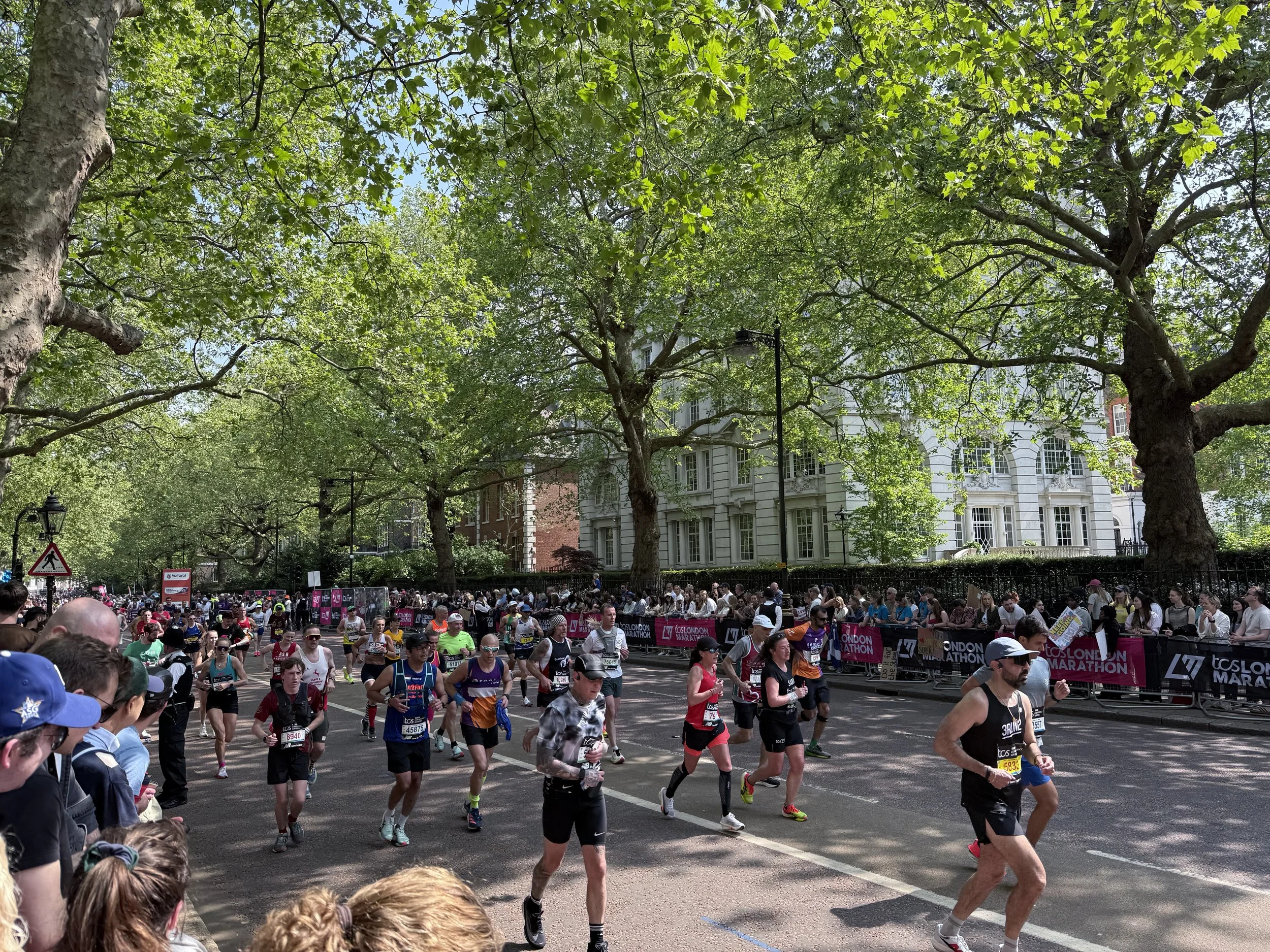 Crowd of marathon runners on street with green trees overhead and buildings in background during daytime.