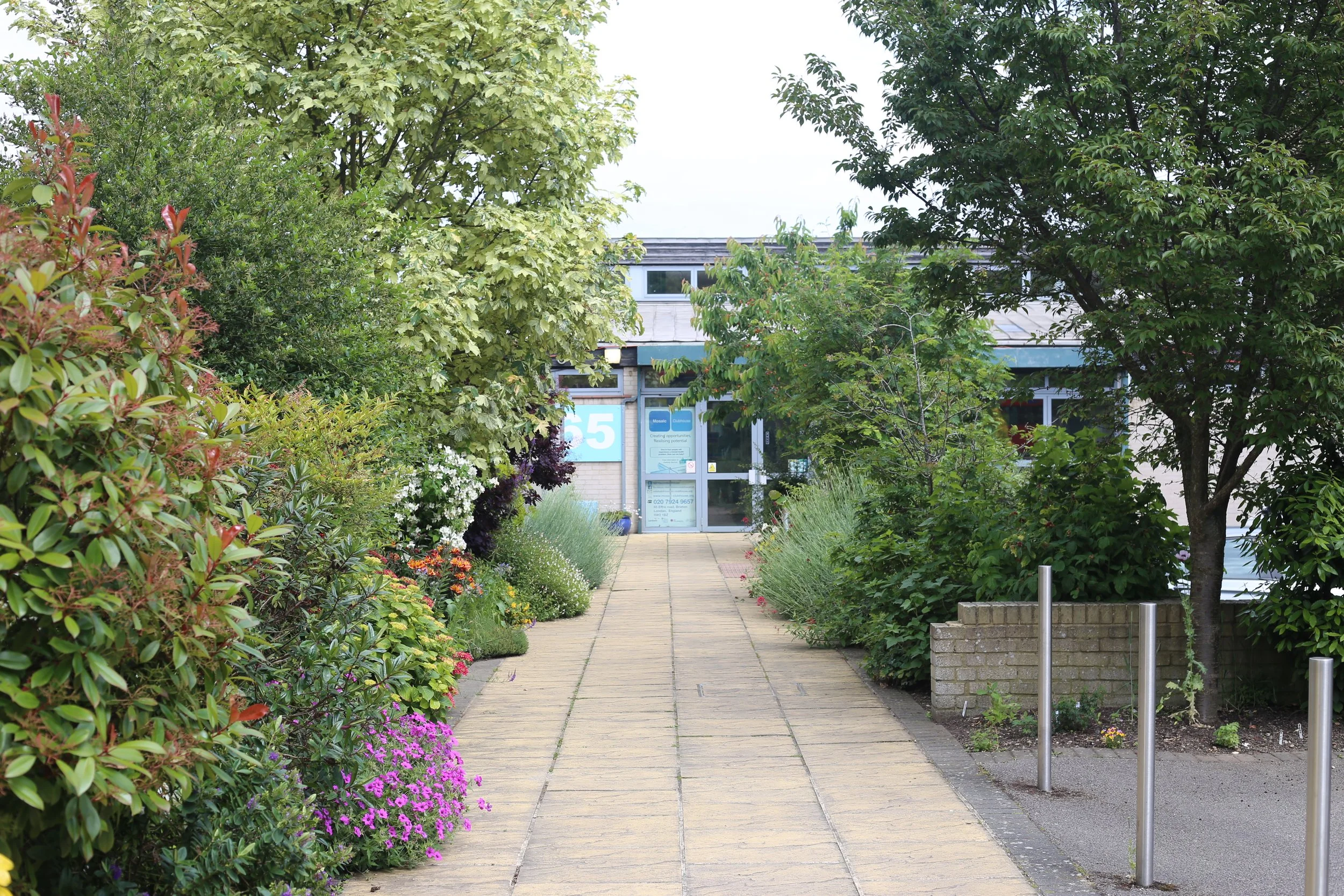 A pathway surrounded by lush green plants and trees leading to a building with a glass entrance door.