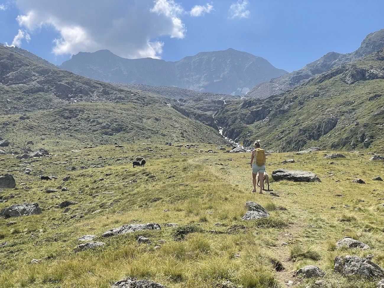 The Rolling Pretzels