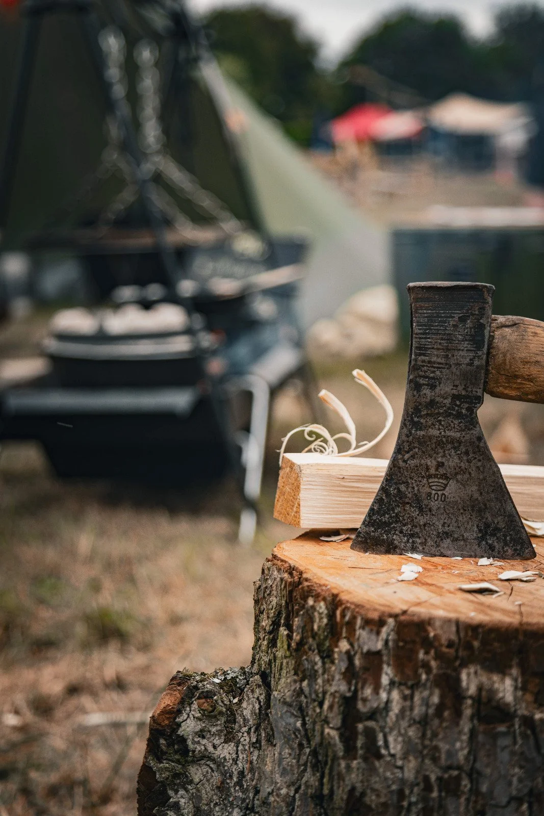 An axe embedded in a tree stump, with wood shavings nearby, and a blurry barbecue grill in the background.