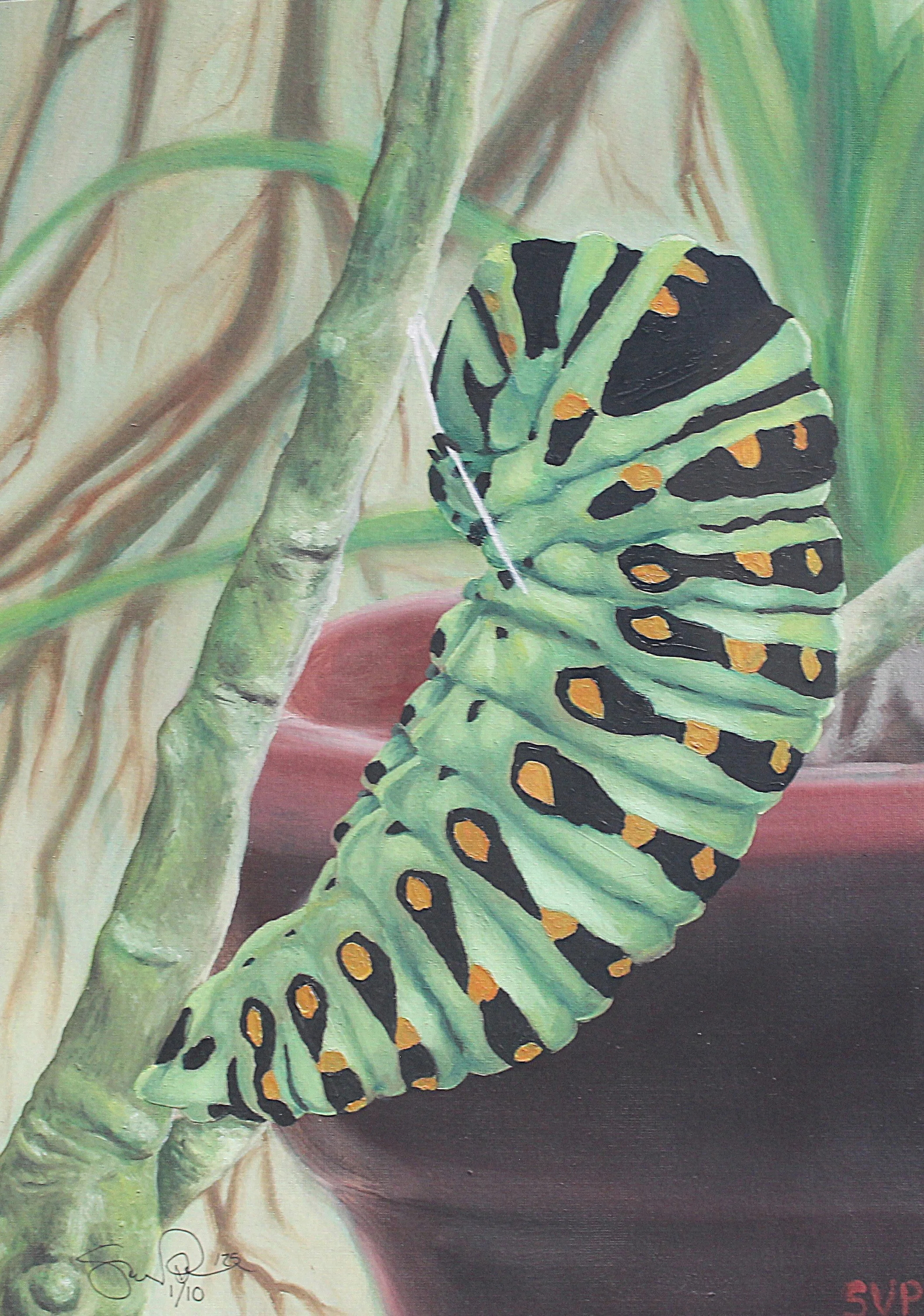 A detailed painting of a large green caterpillar with black markings and orange spots, curled around a green plant stem, with a plain dark background.