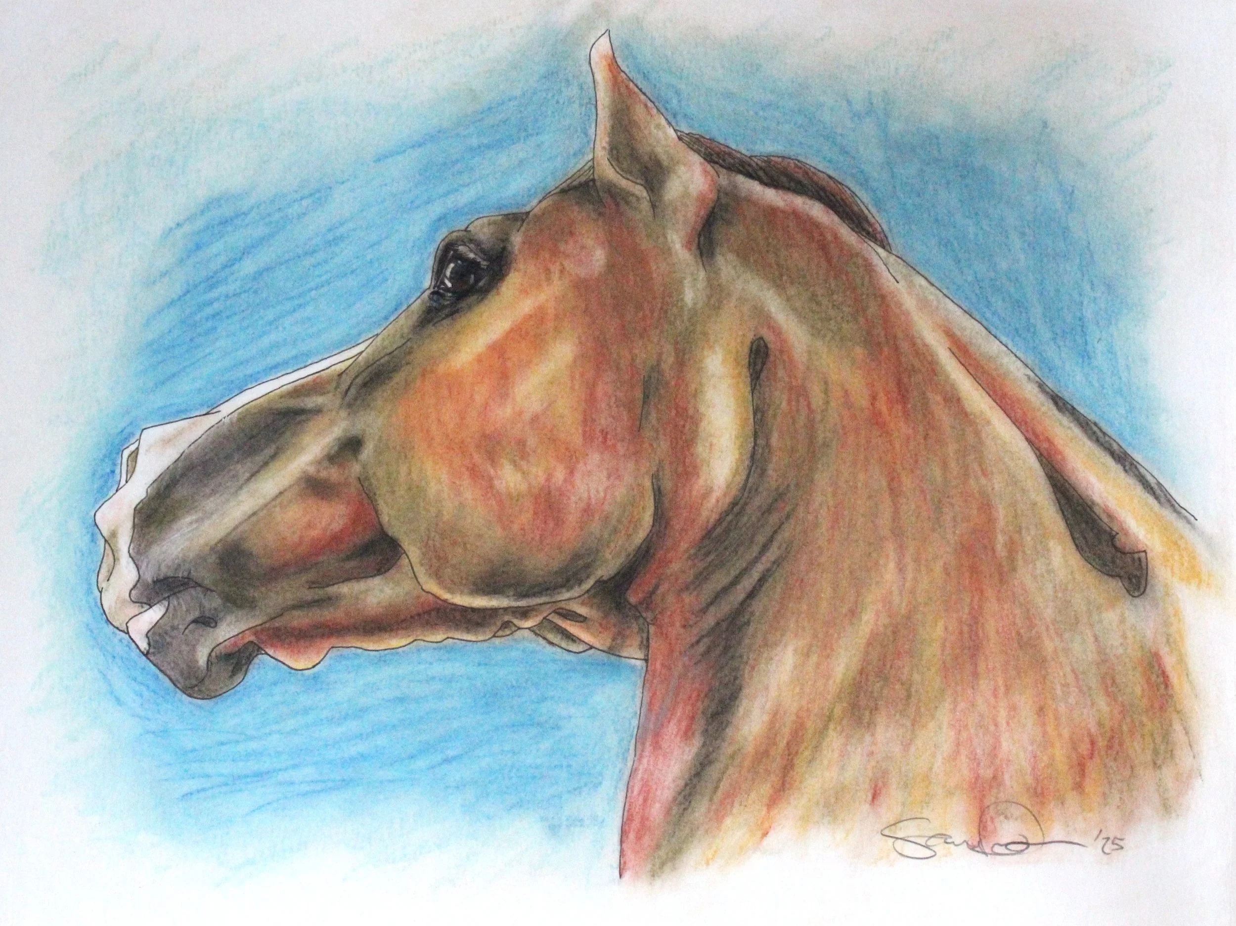 €85,00 "A Horse Listens" NuPastel Drawing