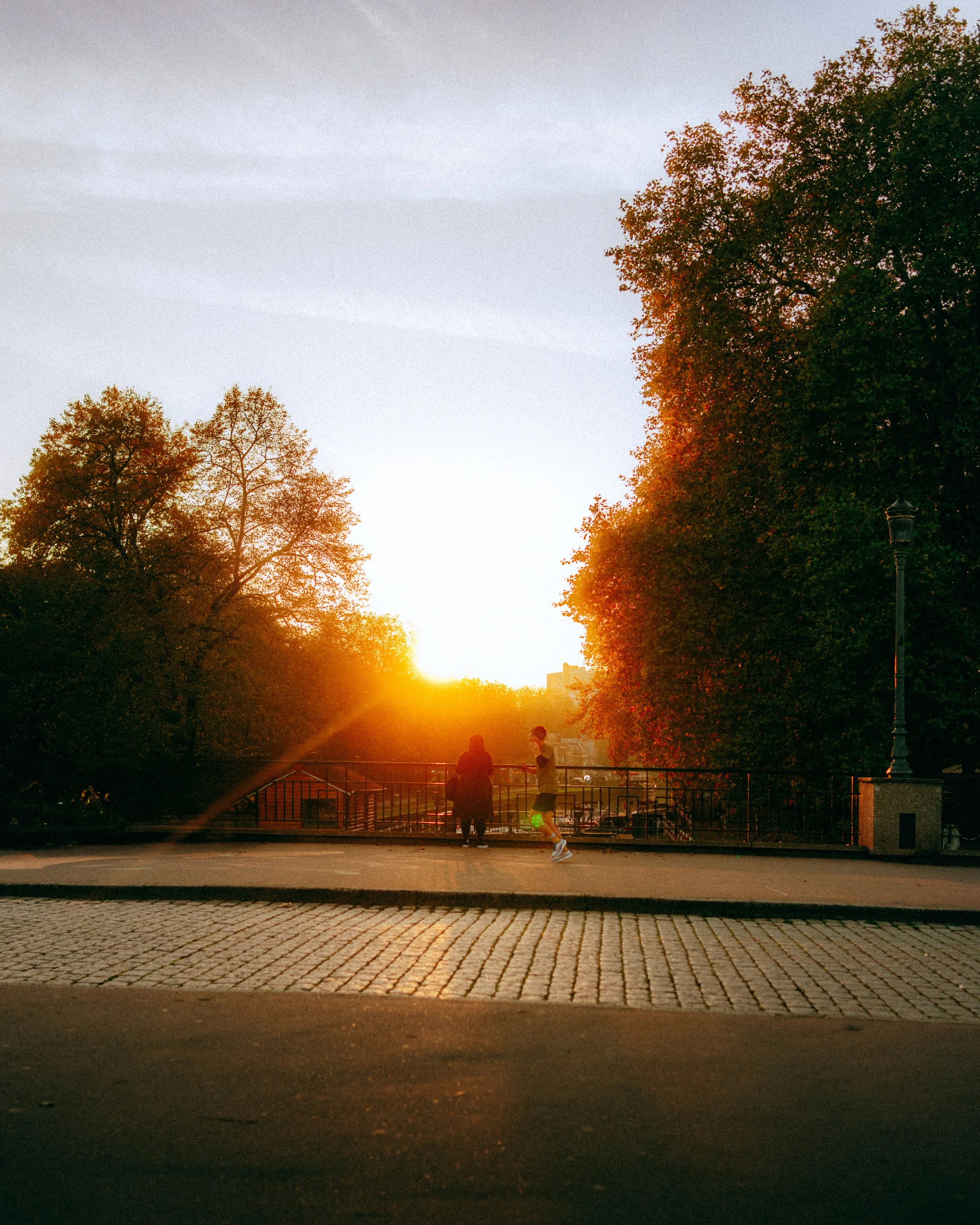Coucher de soleil dans un parc avec deux personnes, une assise et une en marche, avec des arbres feuillus en automne et une lampadaire.