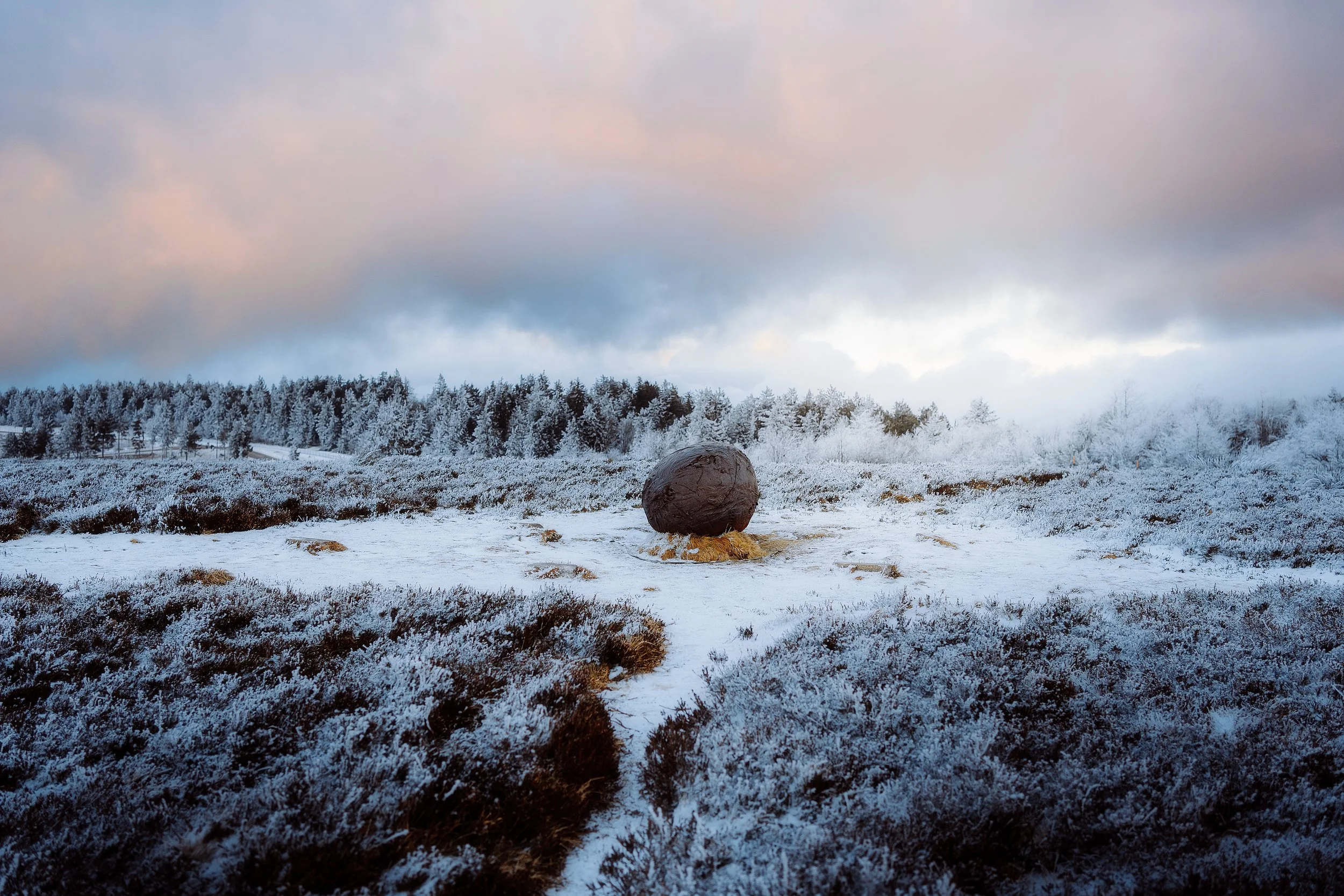 Champ enneigé avec un gros rocher au centre et une forêt au fond, ciel nuageux.