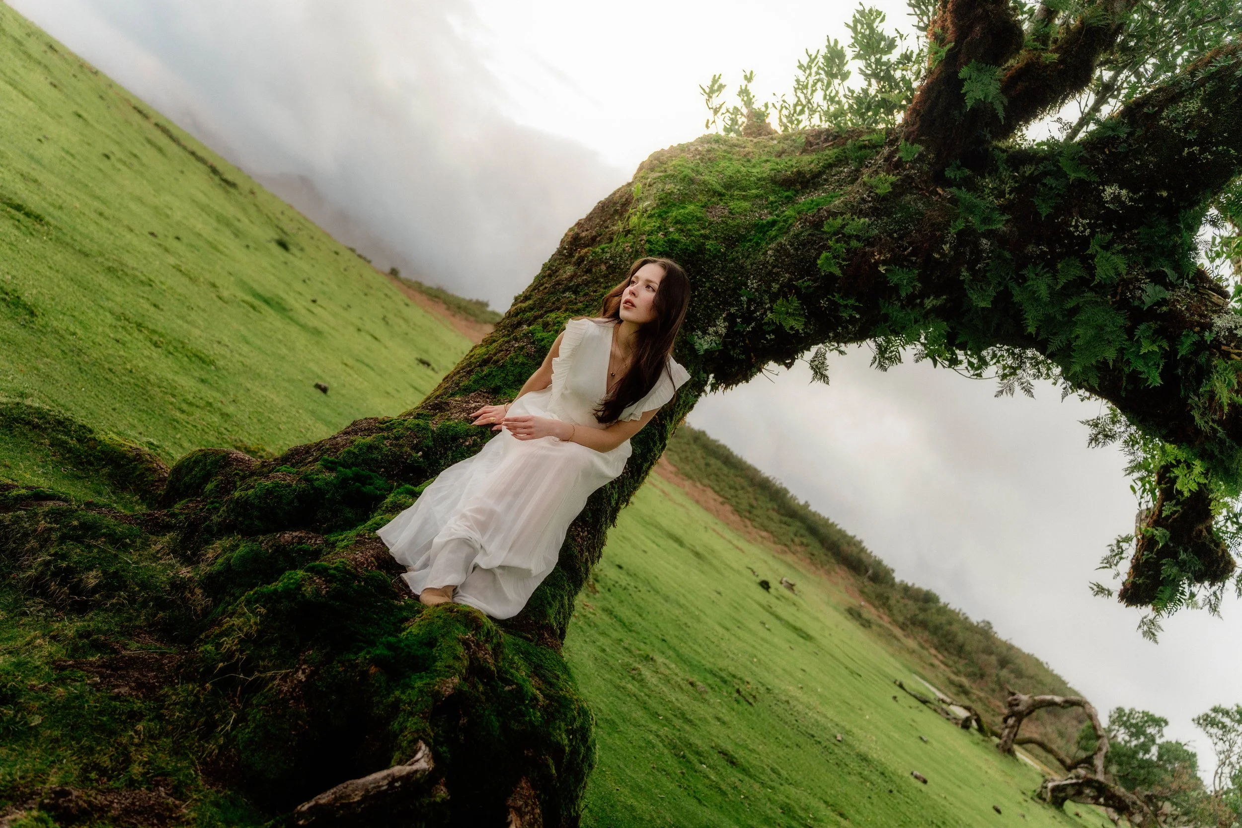 Une femme en robe blanche assise sur une branche d'arbre recouverte de mousse, dans un paysage verdoyant avec des collines et un ciel nuageux.