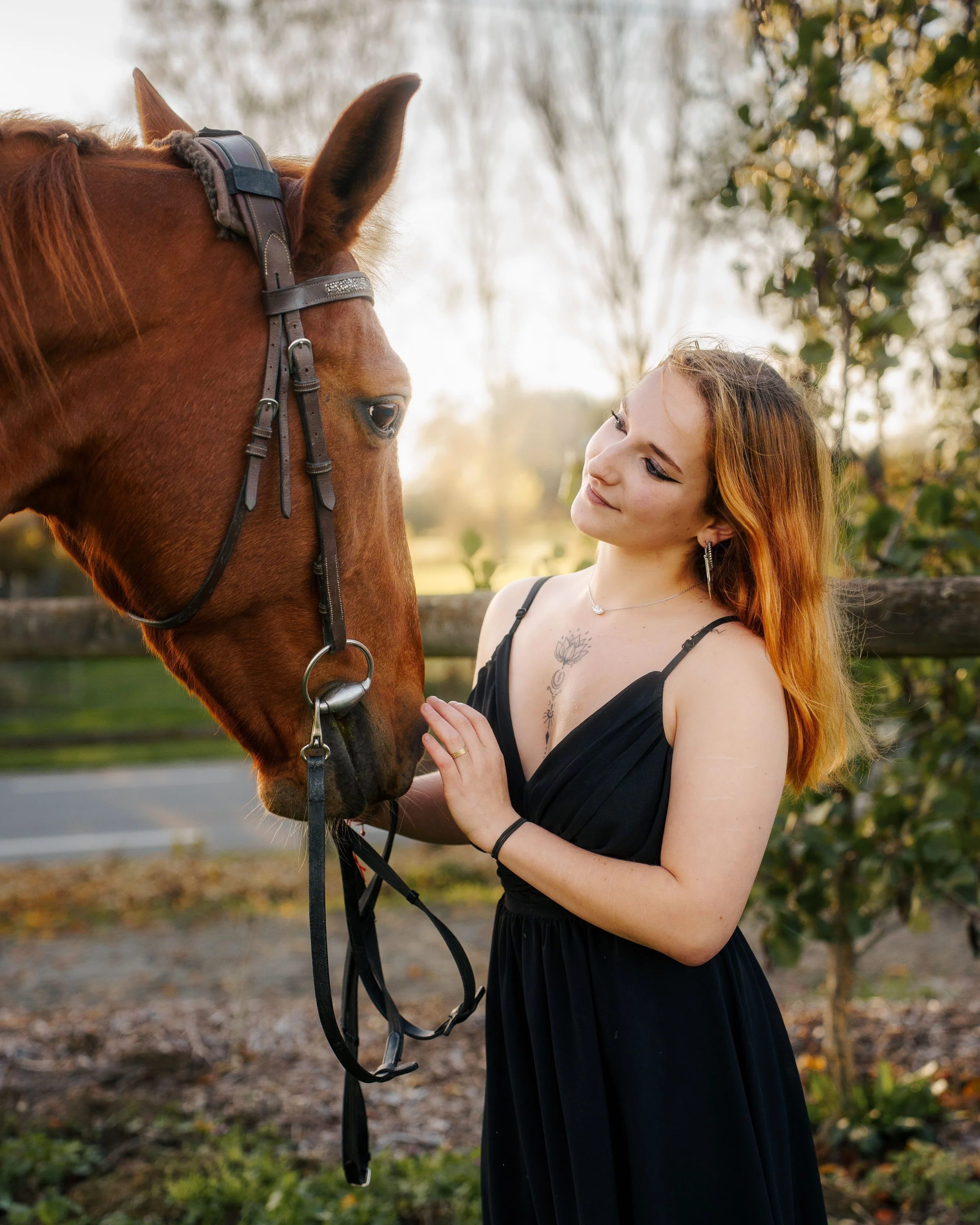 Une femme en robe noire caresse un cheval marron en plein air avec des arbres en arrière-plan au coucher du soleil.