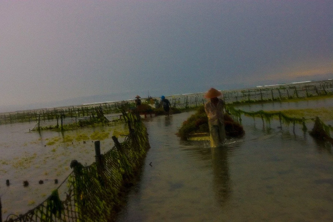 Pinboard art photography-3.jpg