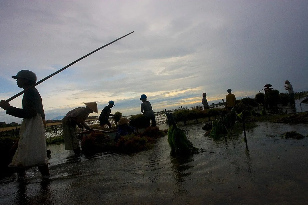 Pinboard art photography-4.jpg