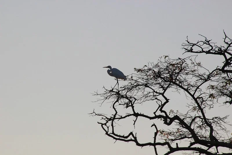 Aurukun student photos-5-3.jpg