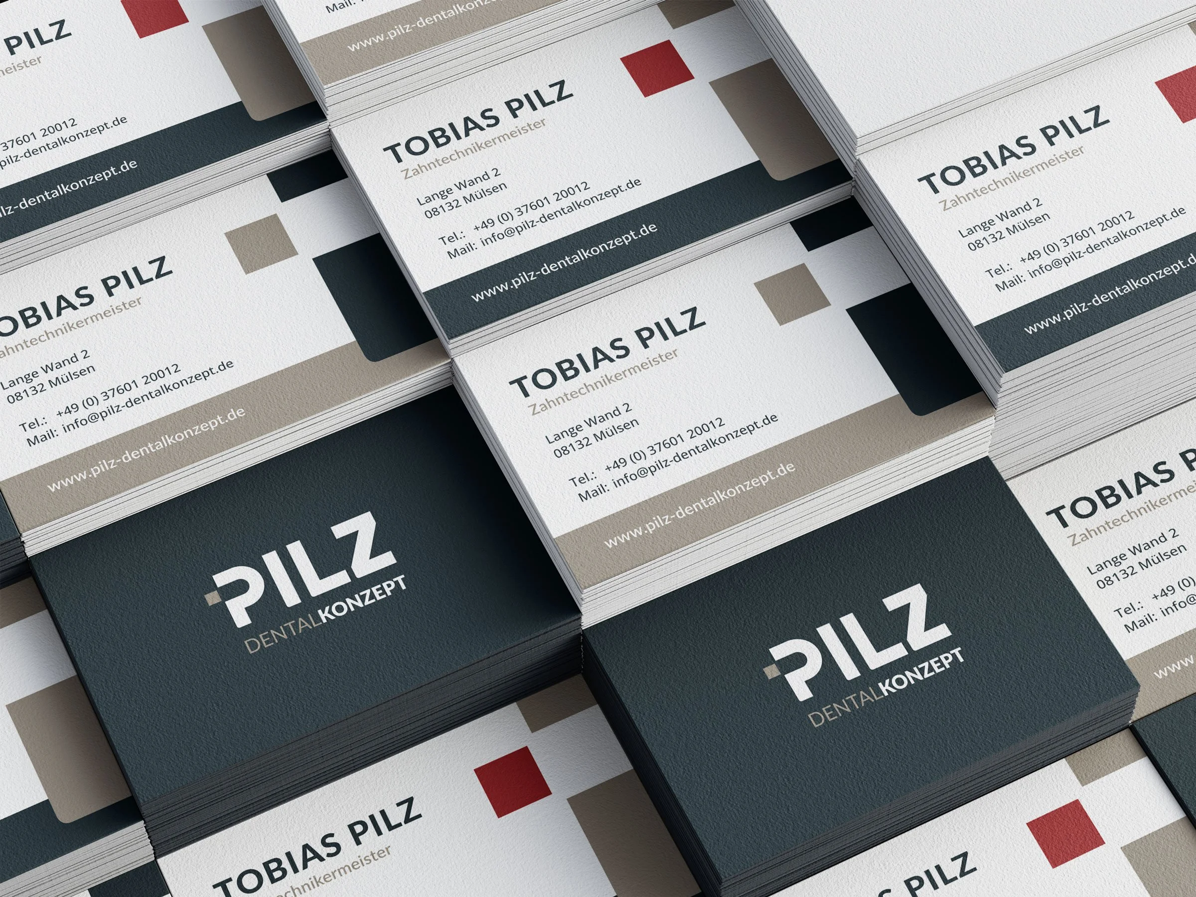 PILZ_VK_Mockup.jpg