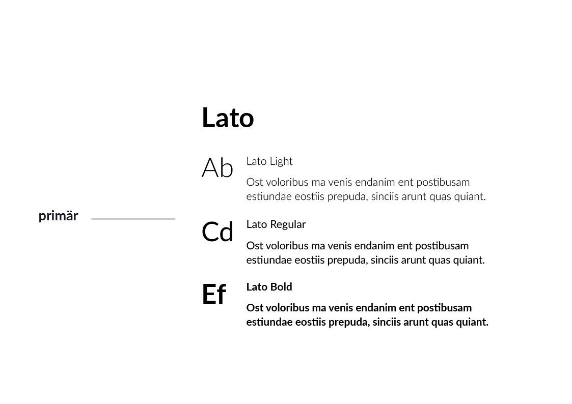 Typografie primär