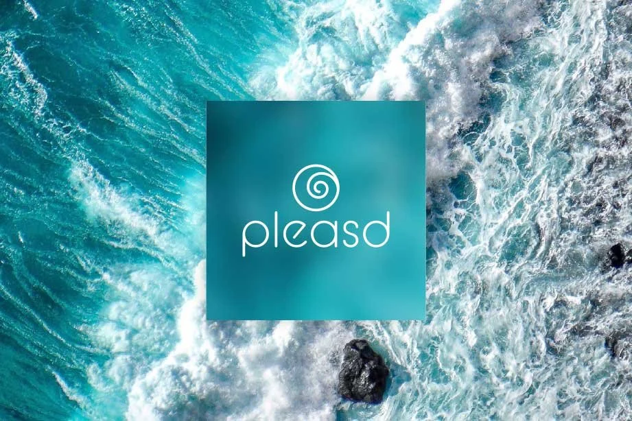 Das Bild zeigt eine Brandung des Meeres mit weißen Wellen und dunklen Steinen im Wasser, im Vordergrund befindet sich ein blauer quadratischer Overlay mit dem weißen Logo und Schriftzug 'pleasd'.