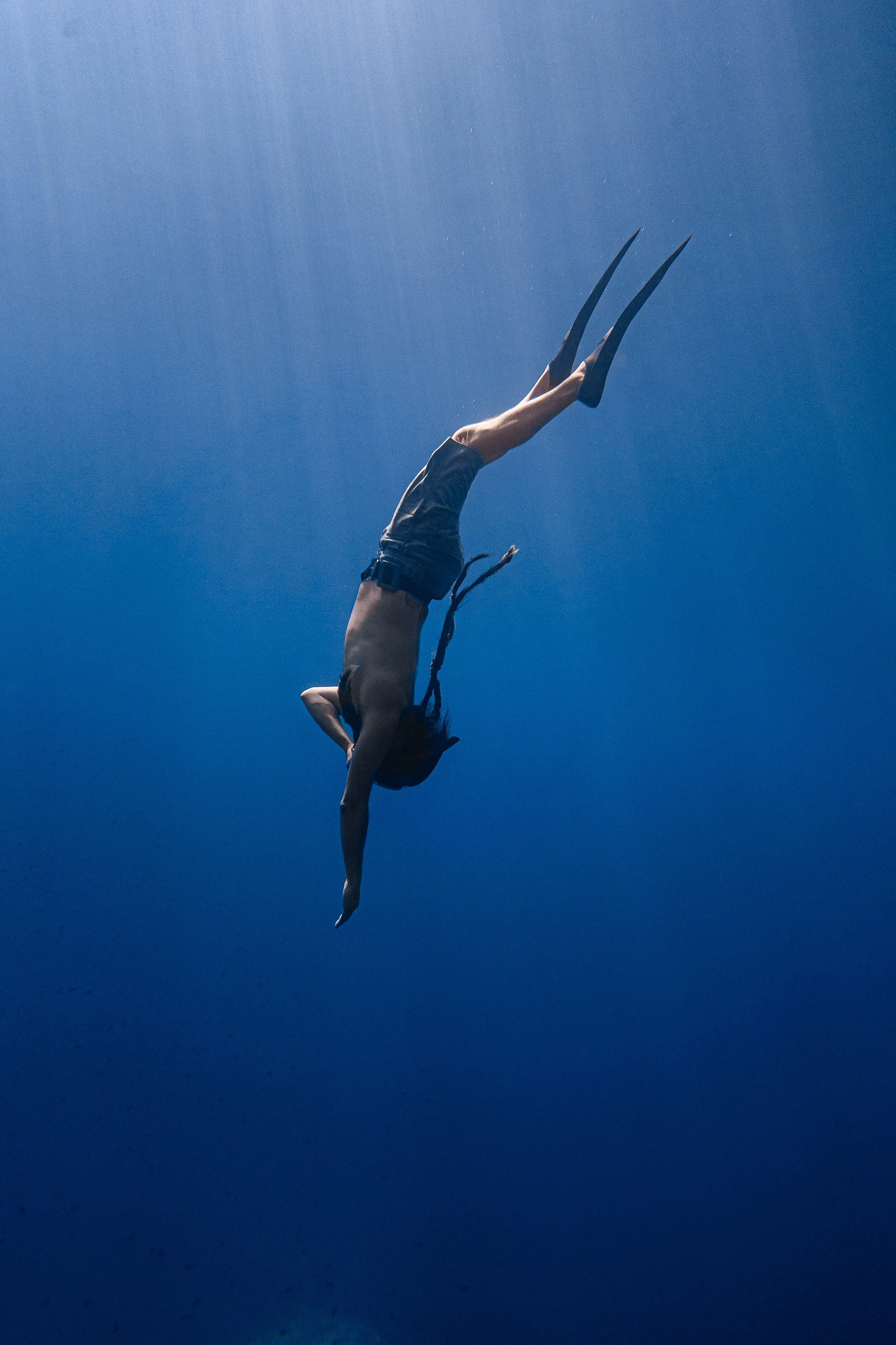 Which Freediver Are You?