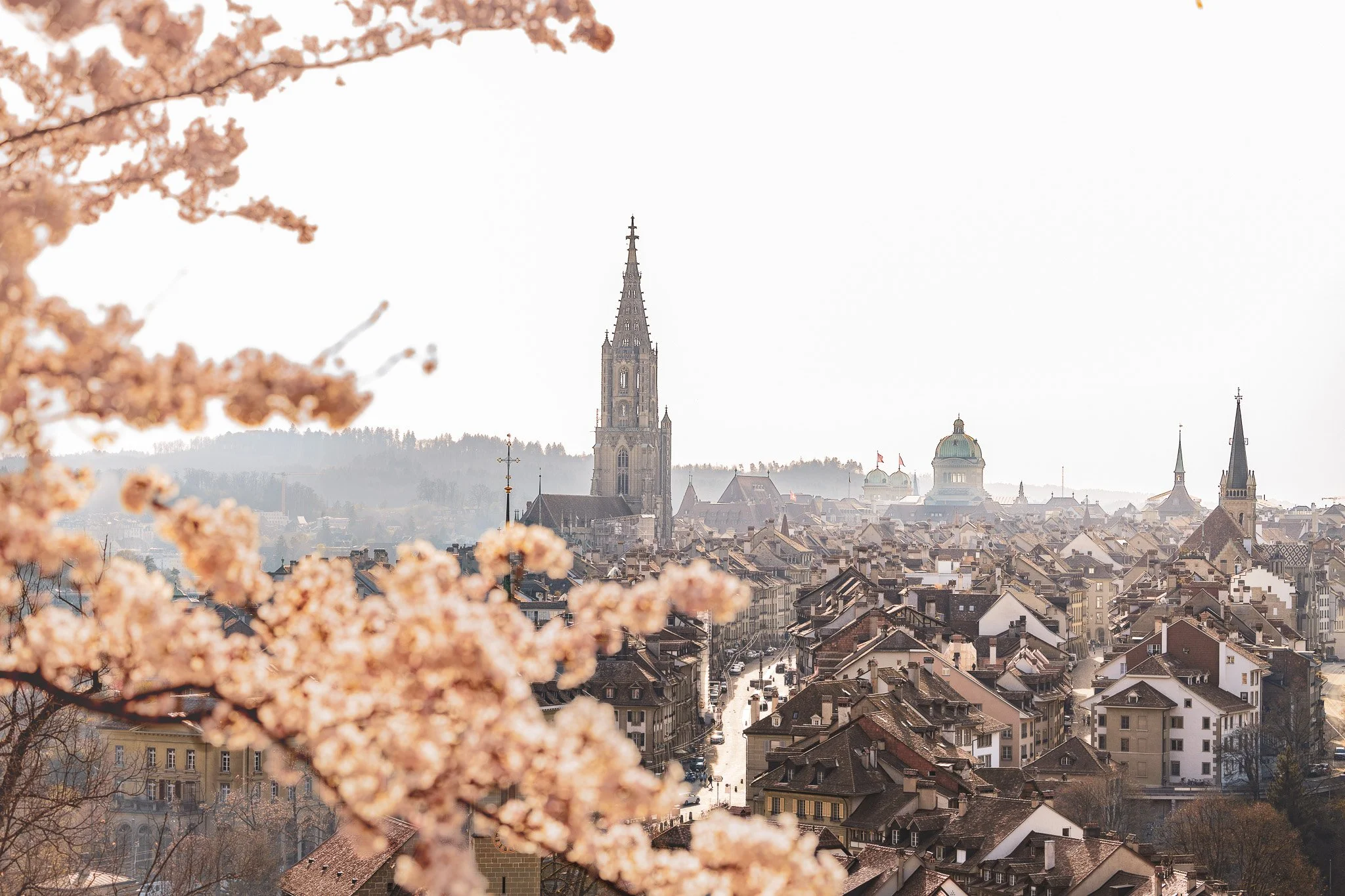 02_berner-altstadt_kirschblueten_rosengarten-bern_c_tina-berger_2022_querformat.jpg