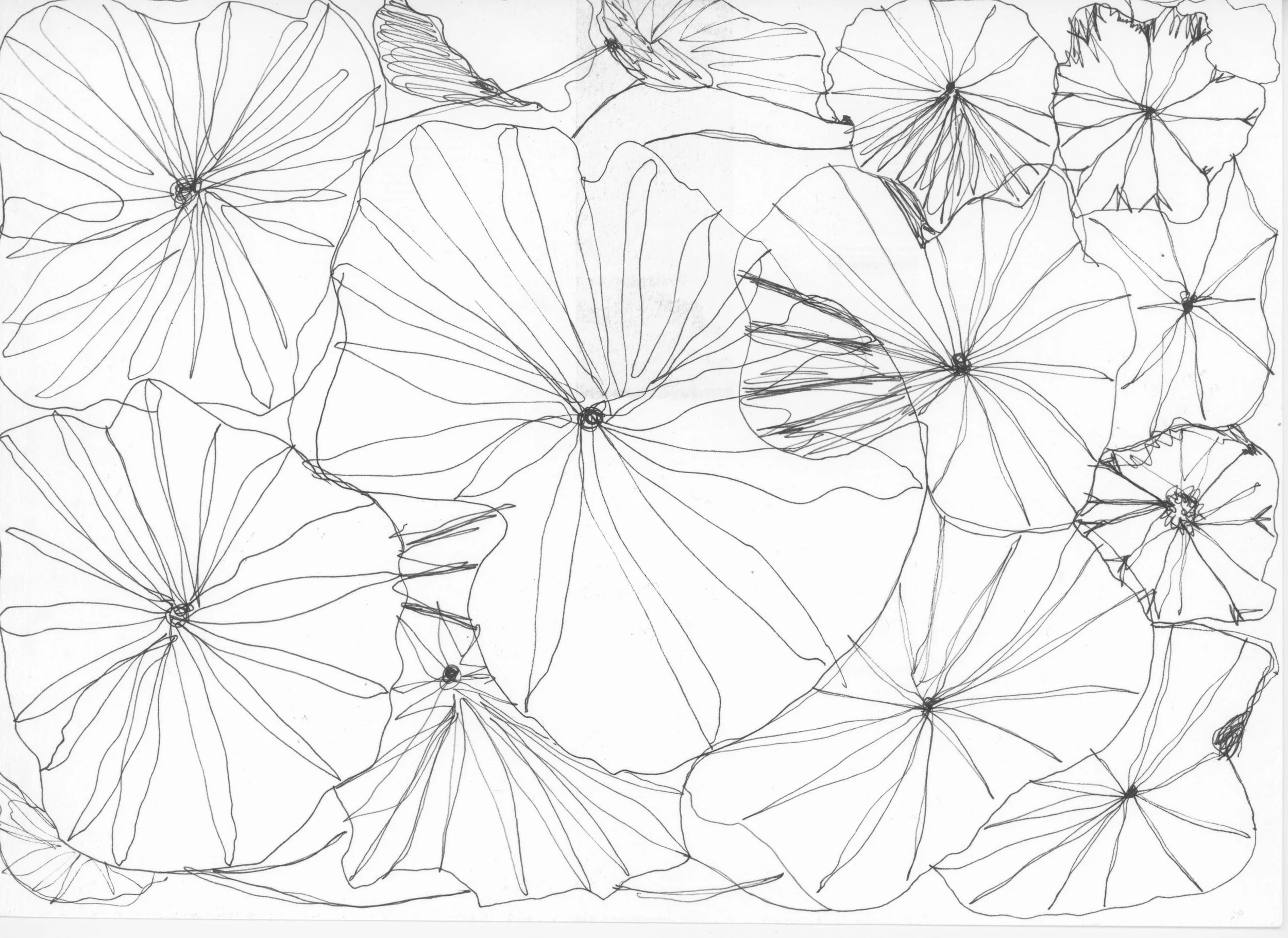 02_zeichen-workshop-museum_handskizze_c_tina-berger 2025_querformat.jpg