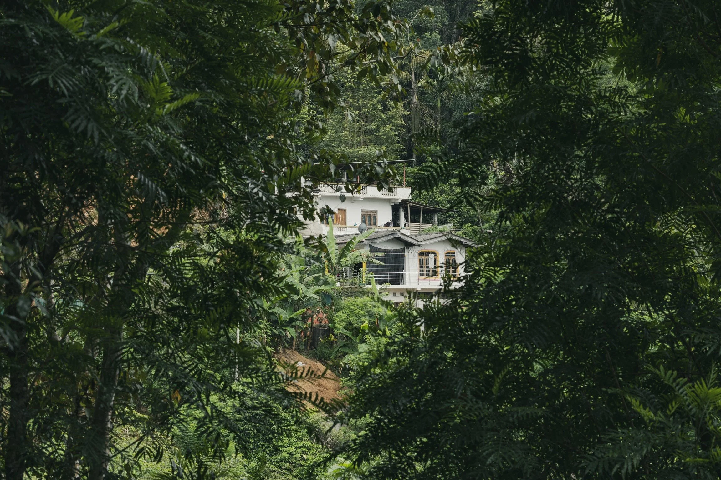 18_haus-im-dschungel_sri-lanka_landschaftsfotografie_c_tina-berger_2023_querformat.jpeg
