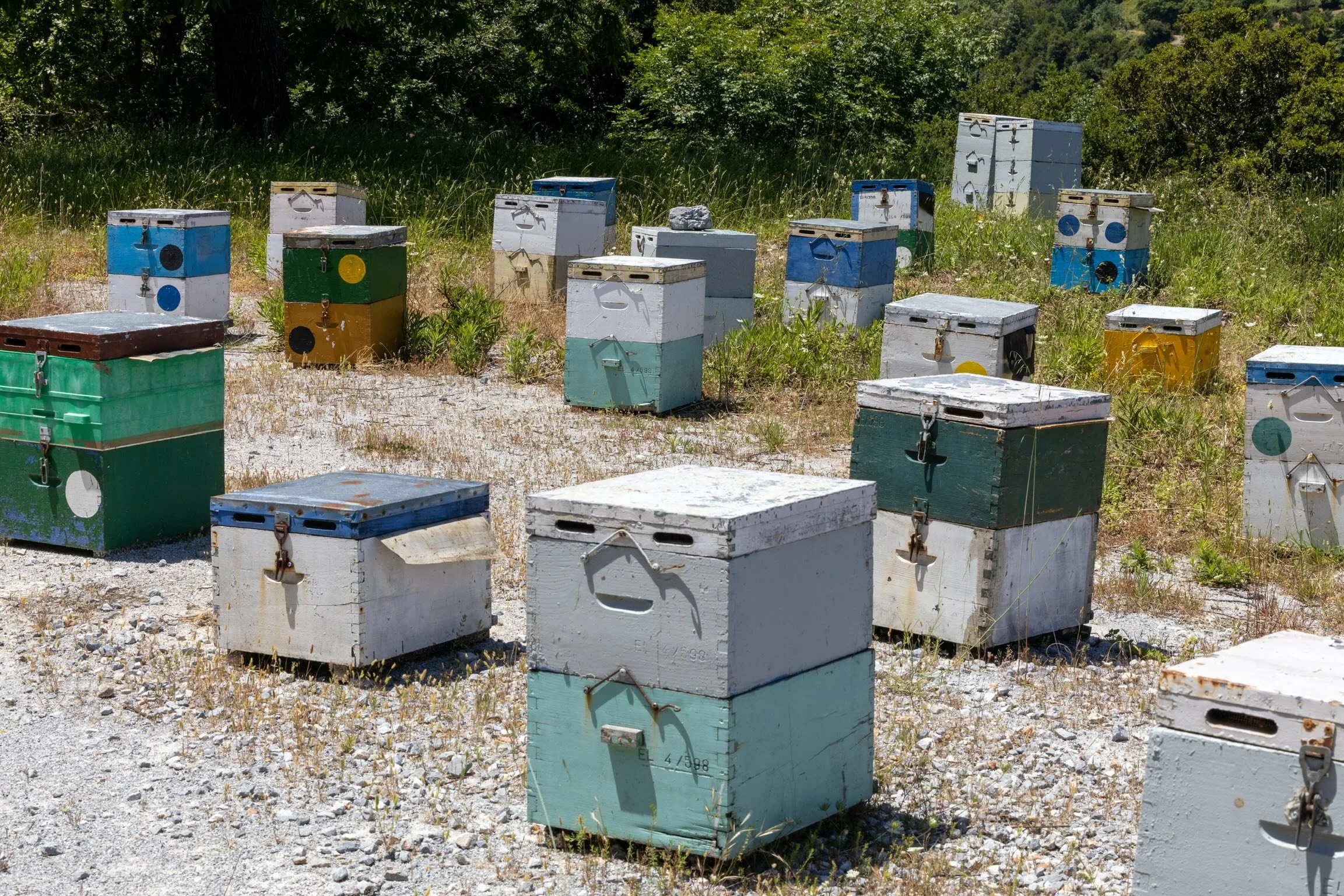 13_bienen-kisten_griechenland_c_tina-berger_2023_querformat.jpeg