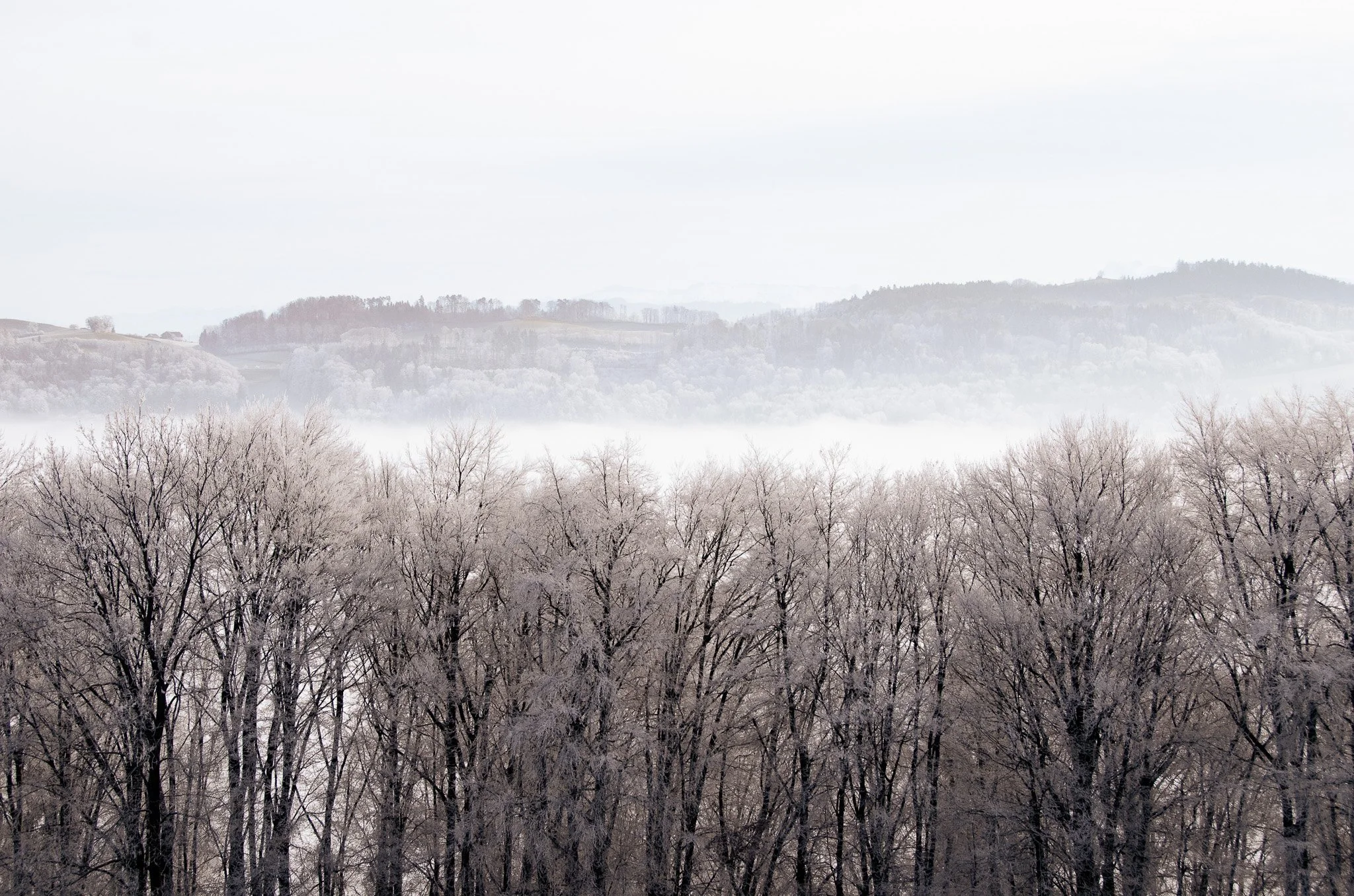 01_wald-landschaft_winter_buetschelegg_naturpark-gantrisch_landschaftsfotografie_c_tina-berger_2020_querformat.jpg