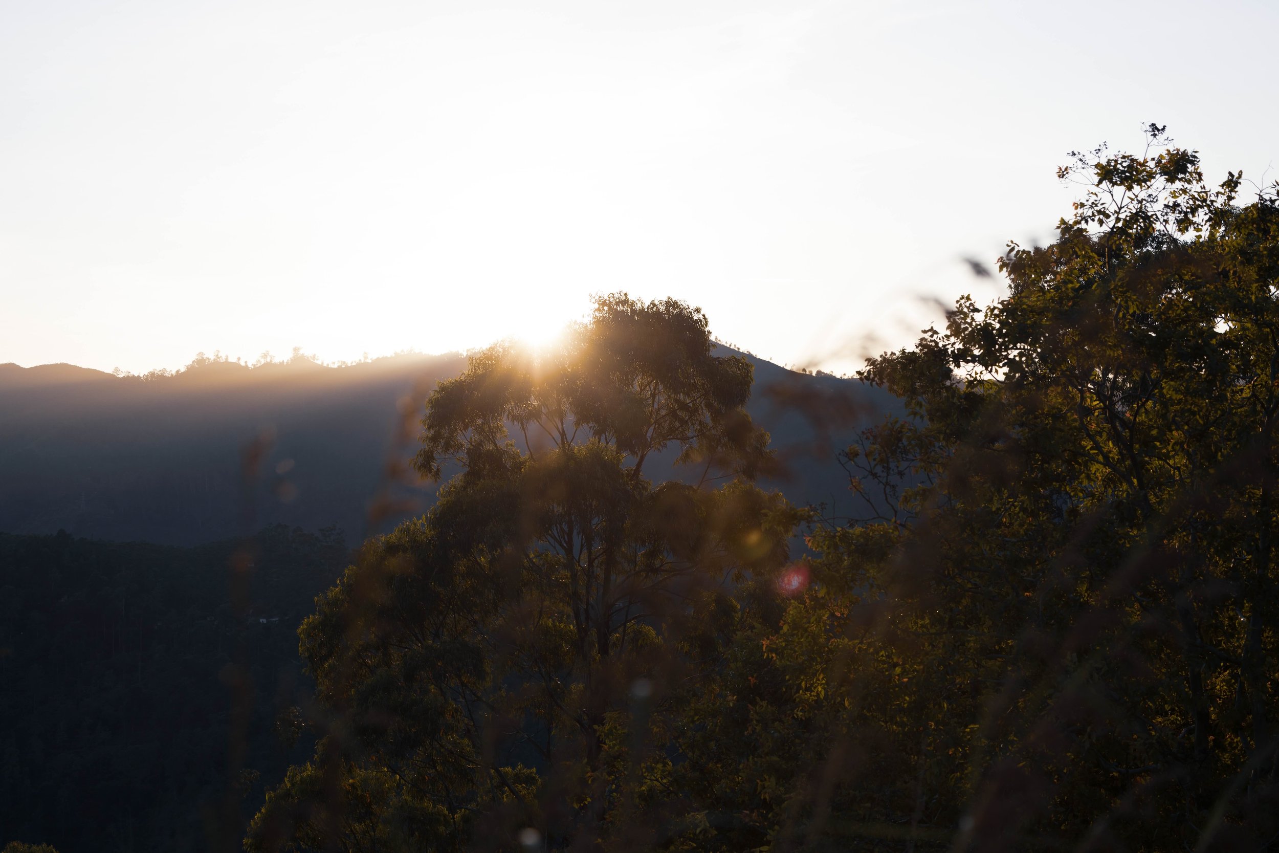 22_sonnenaufgang_ella_sri-lanka_landschaftsfotografie_c_tina-berger_2023_querformat.jpeg