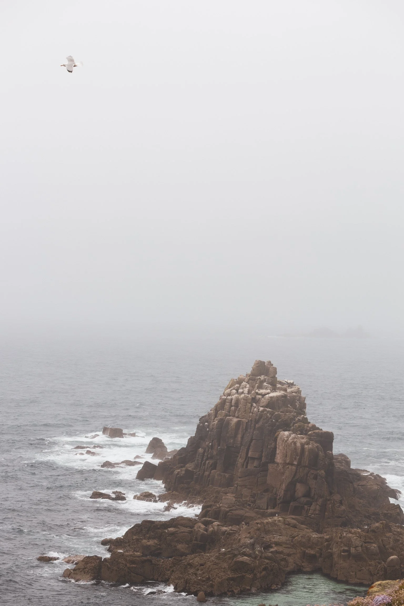 25_basalt-saeulen_vulkangestein_lands-end_cornwall_keltische-see_nordatlantik _landschaftsfotografie_c_tina-berger_2025_hochformat.jpeg
