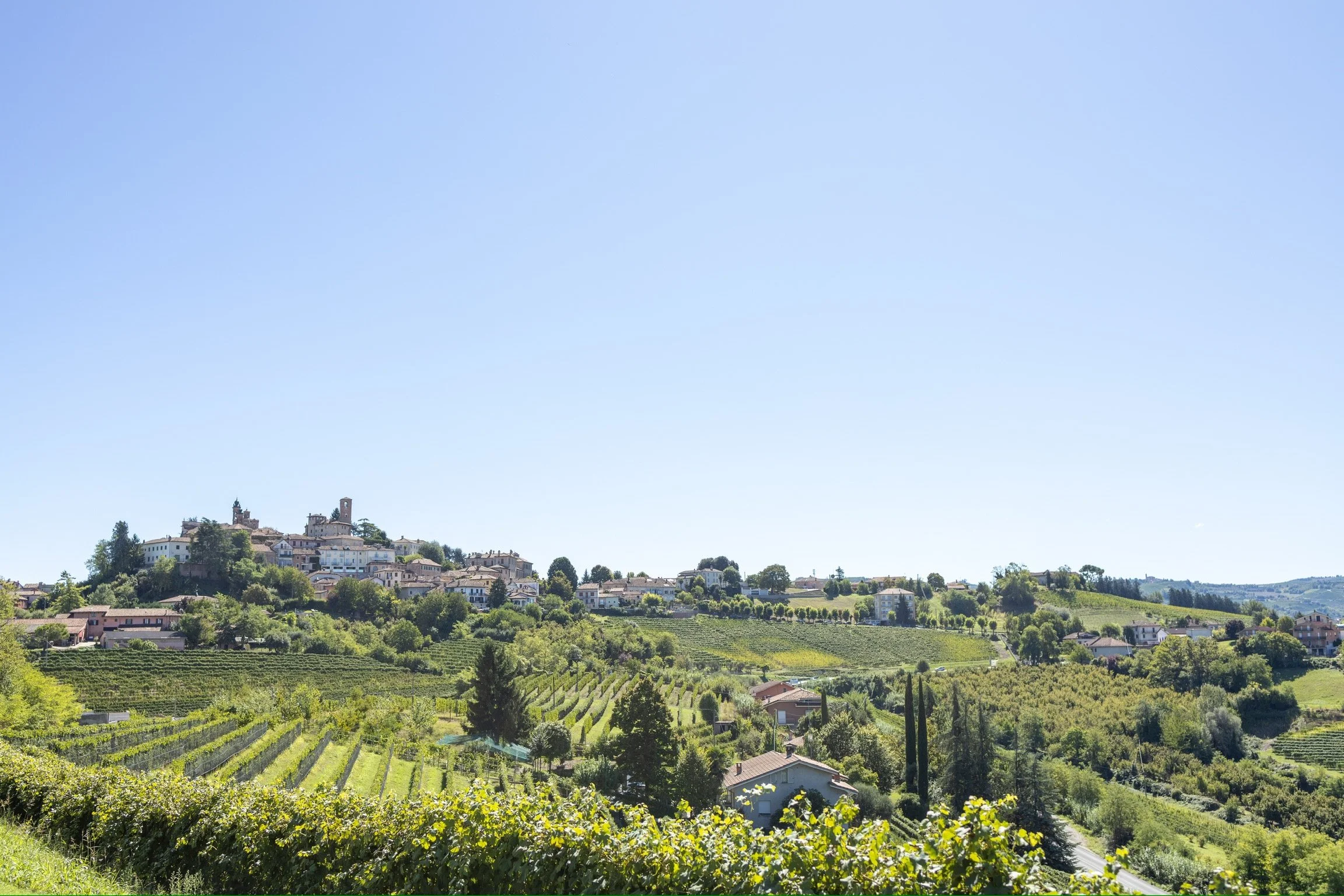 31_wein-reben_neive_piemont_landschaftsfotografie_c_tina-berger_2025_querformat.jpeg