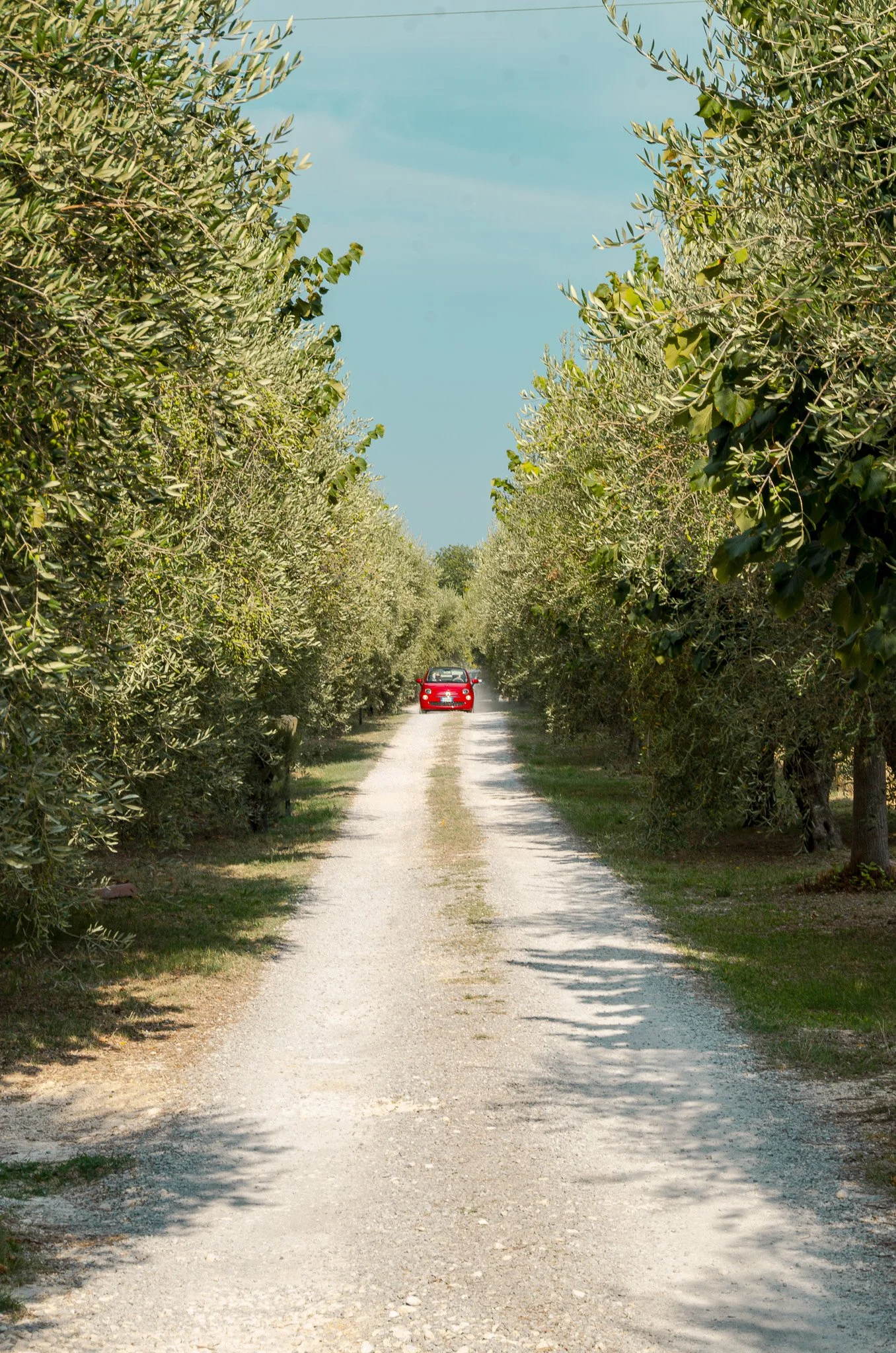 10_roter-fiat-500_toscana_italien_landschaftsfotografie_c_tina-berger_2020_hochformat.jpg