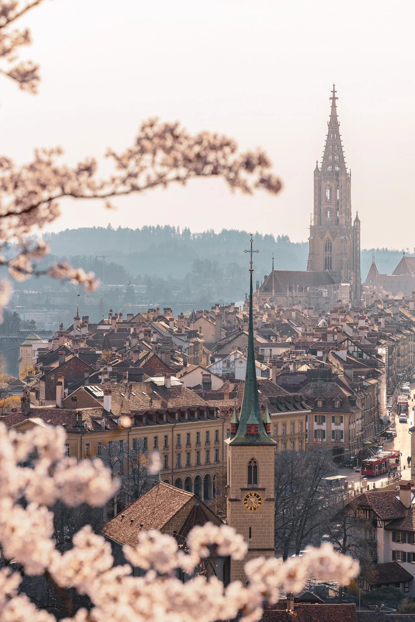 02_berner-altstadt_kirschblueten_rosengarten-bern_c_tina-berger_2022_hochformat.jpg