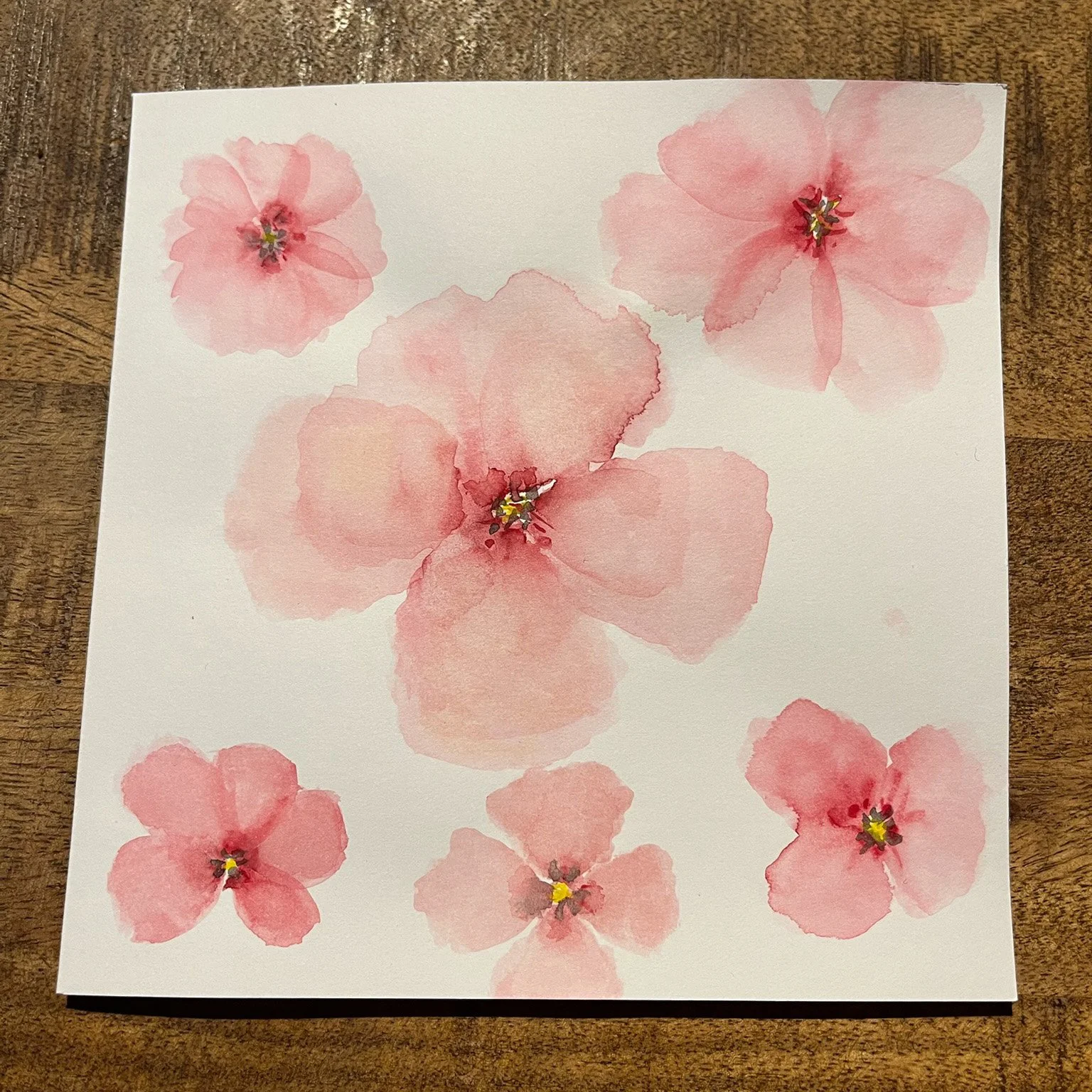16_kirschblueten_aquarell-auf-papier_c_tina-berger_2023_quadrat.jpg