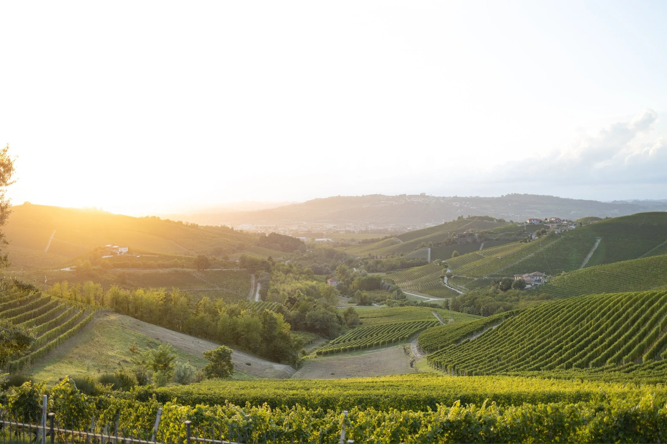 31_sonnenuntergang_wein-reben_piemont_landschaftsfotografie_c_tina-berger_2025_querformat.jpeg