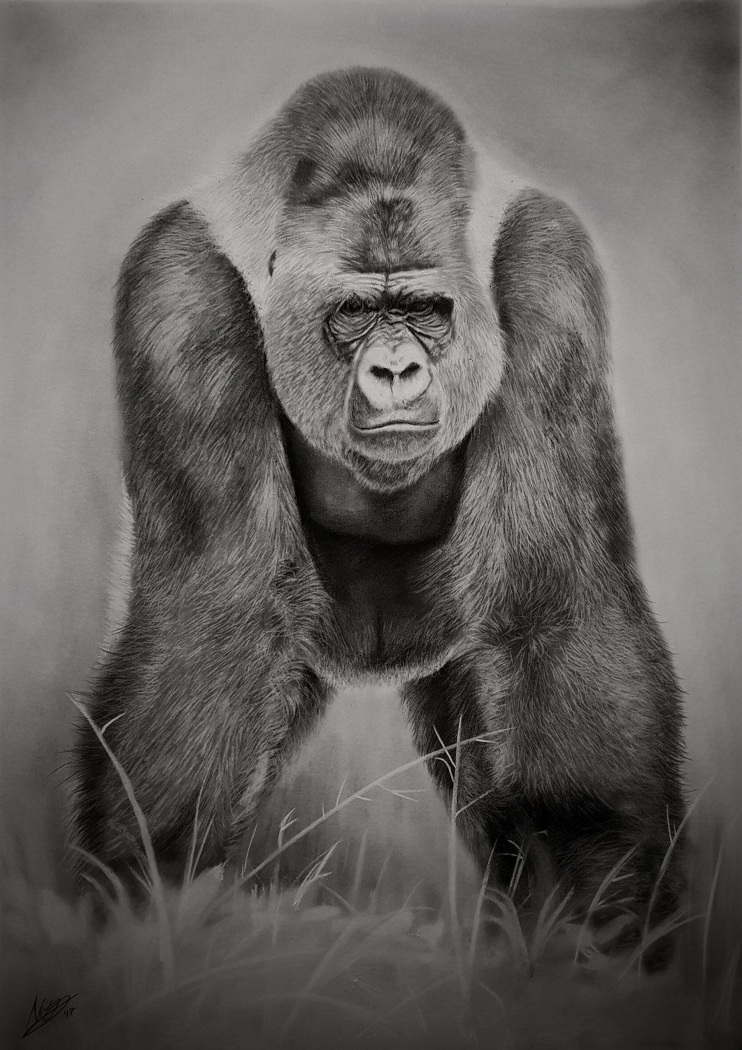 Silverback, fine art print by Rob Bateman