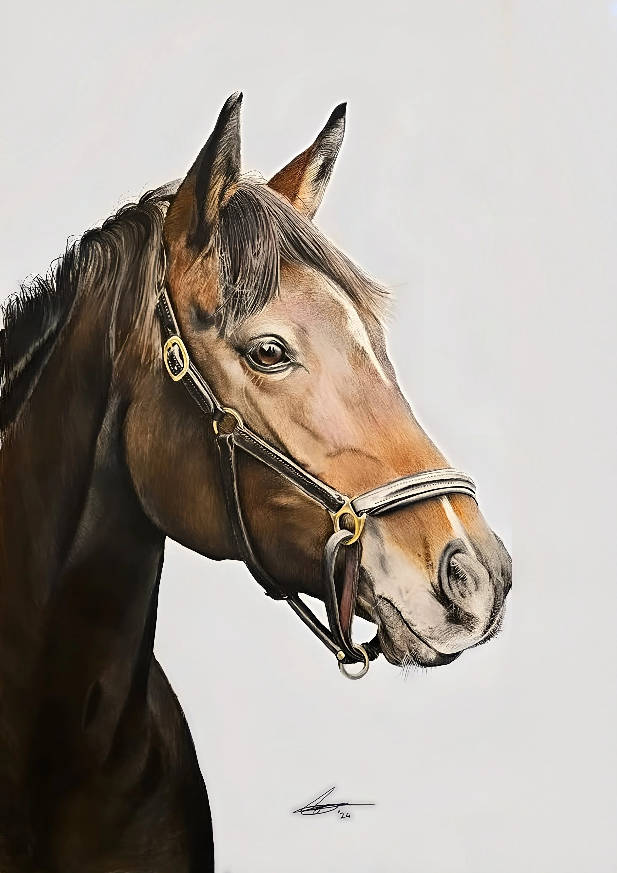 Photorealistic drawing of a bay horse in a halter by Rob Bateman
