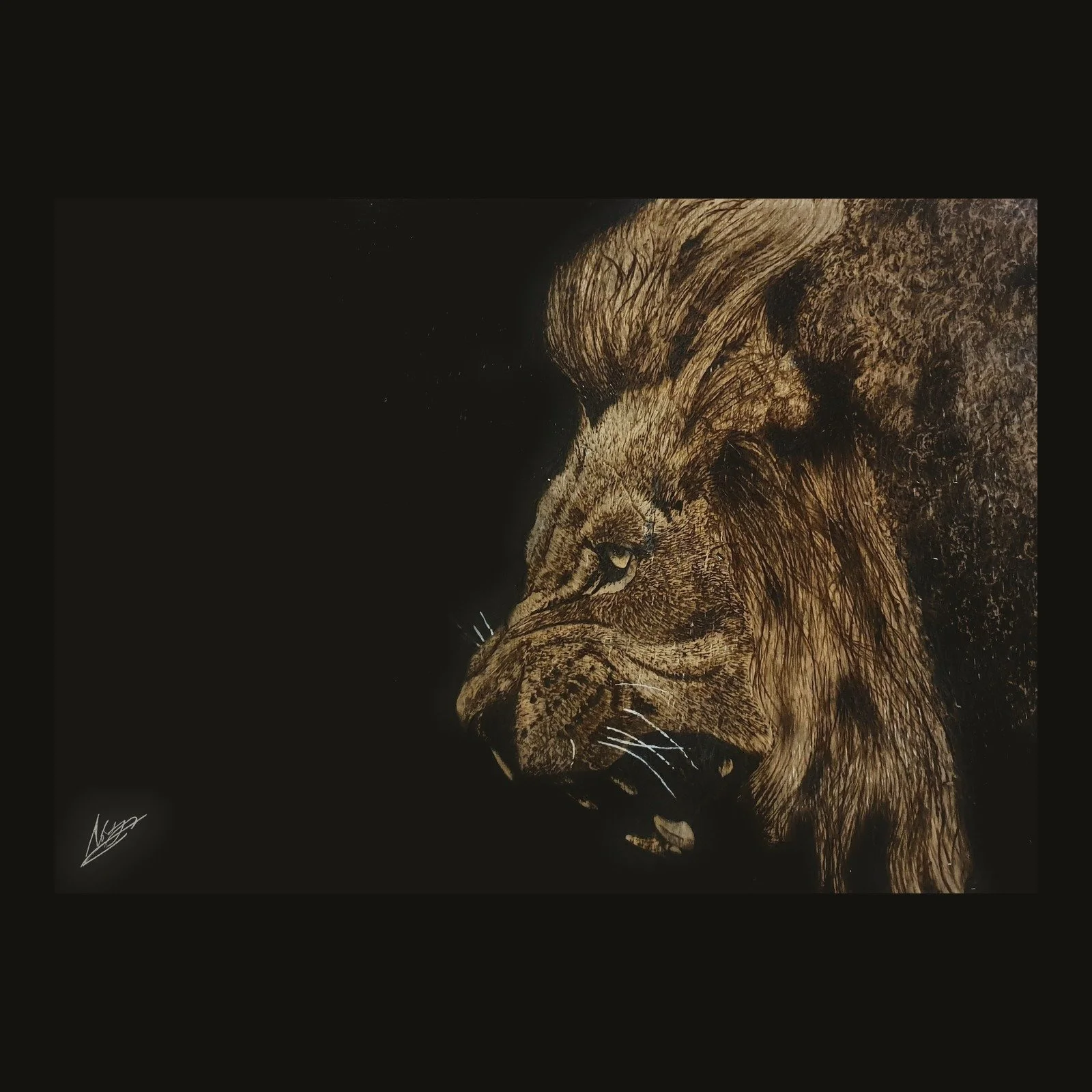 The Roar