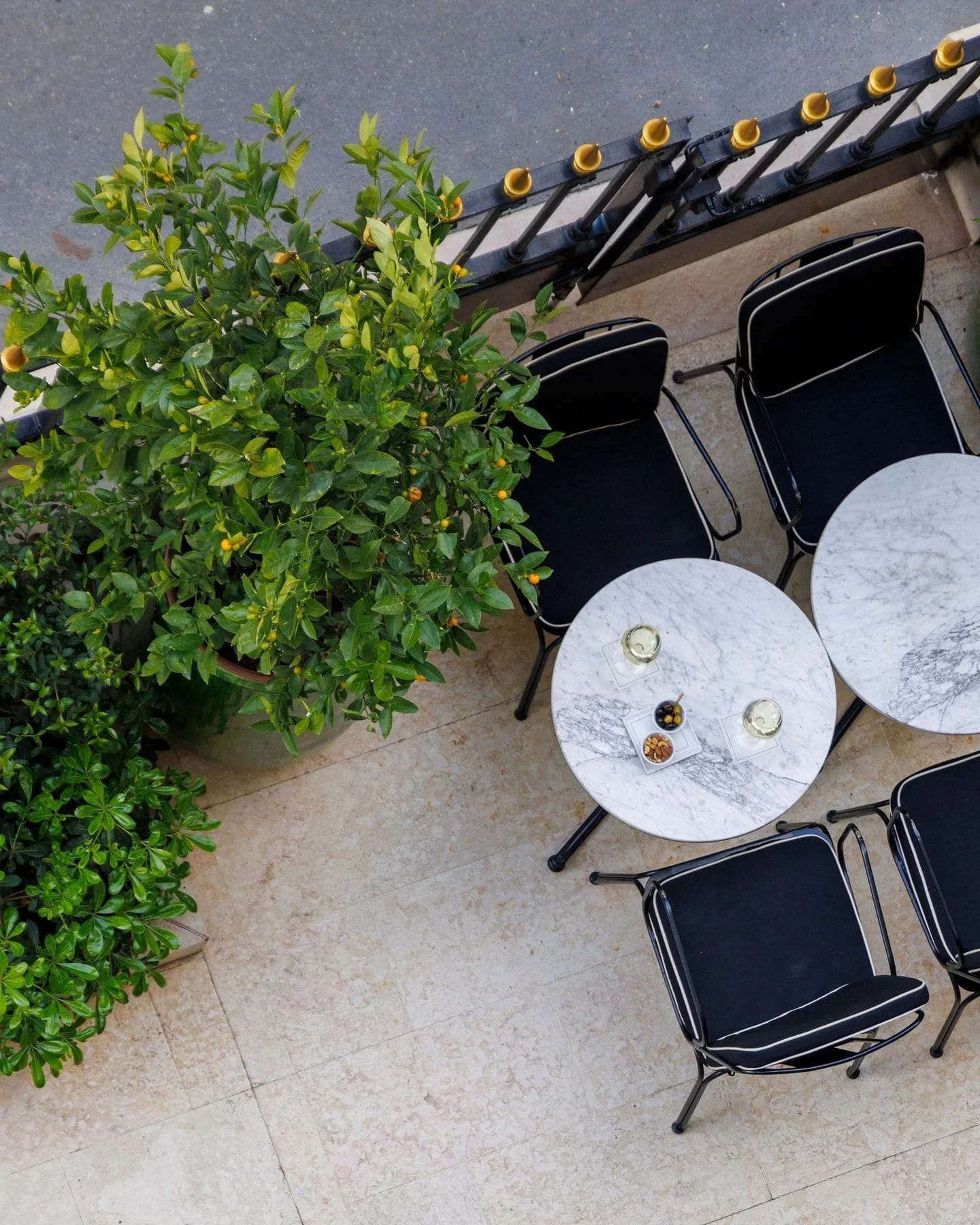 Une image de Greenspacing.