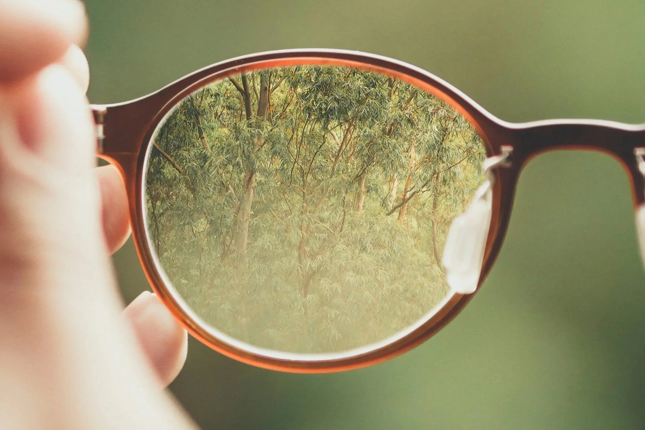 A person holds a sunglasses reflection showing trees with green leaves and branches.
