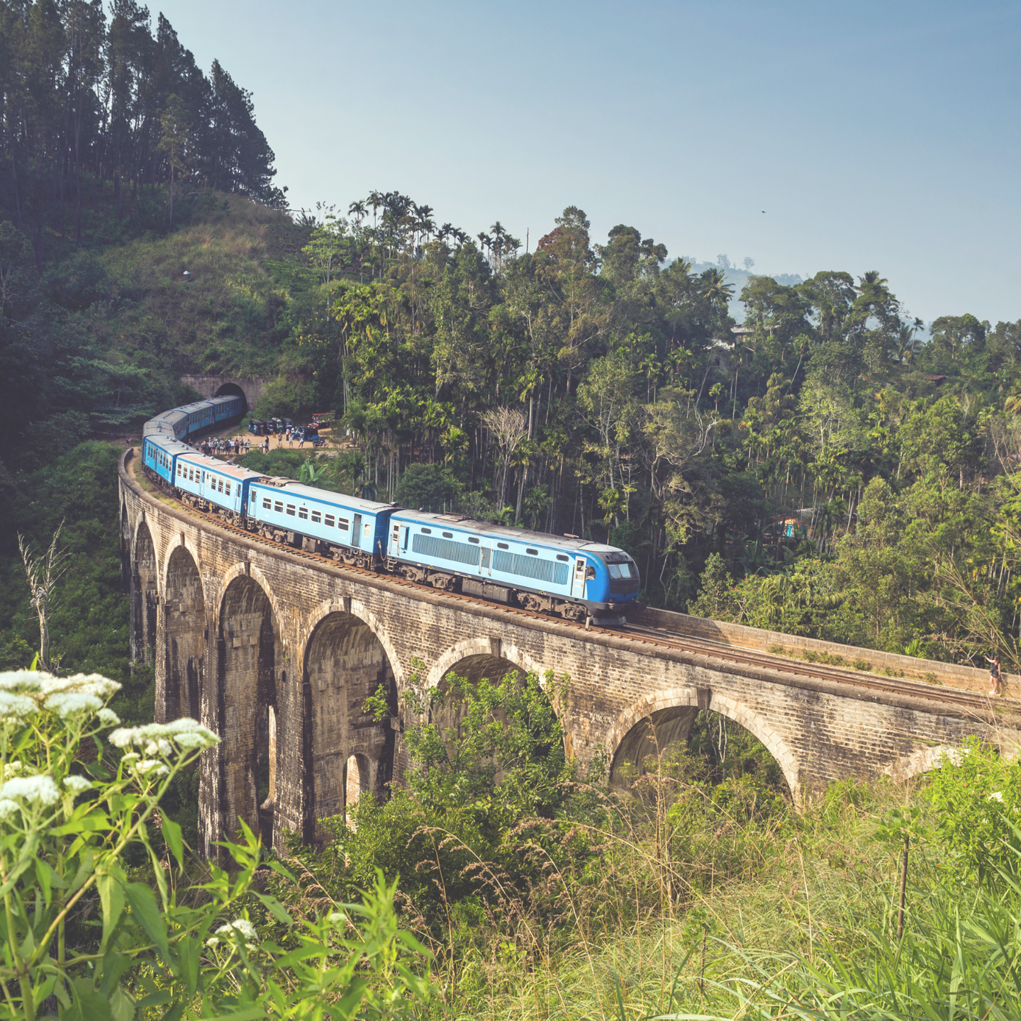 Blue train crossing an arched bridge surrounded by greenery