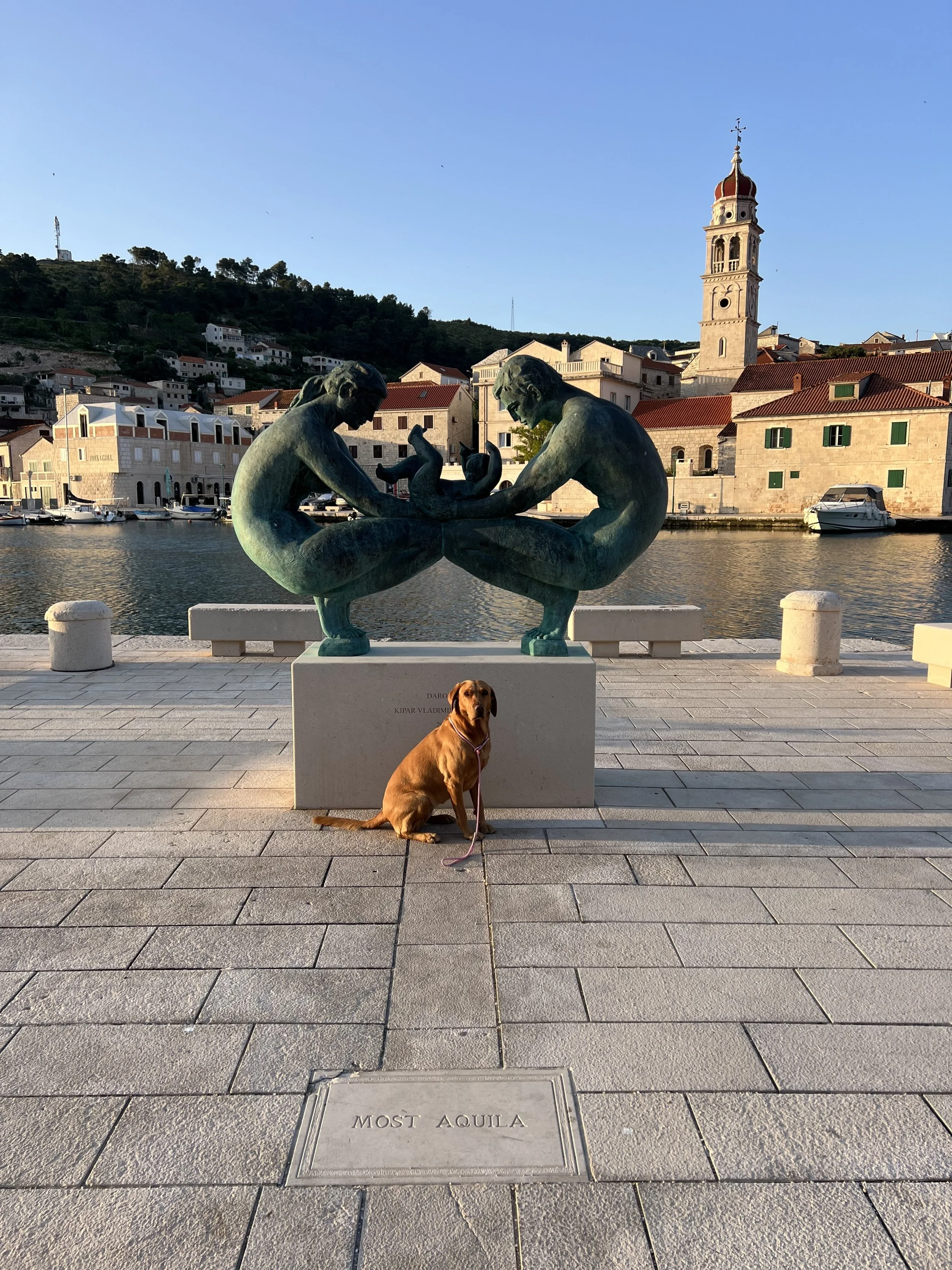 Dog in Pučišća