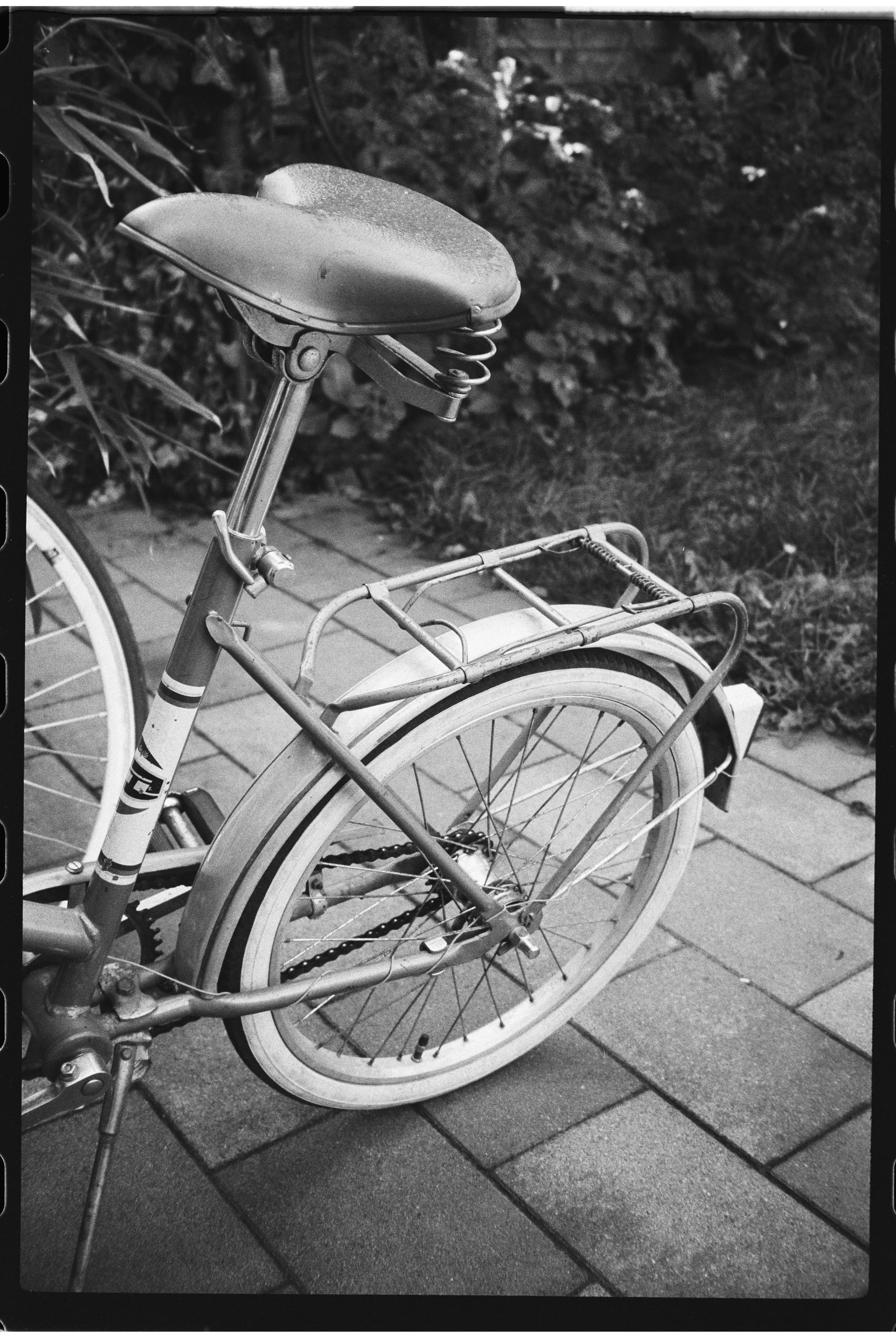 Schwarzes und weißes Foto eines alten, ungenutzten Fahrrads mit Klingel, Reifen, Sattel und Gepäckträger, das auf einem Gehweg neben Pflanzen steht.