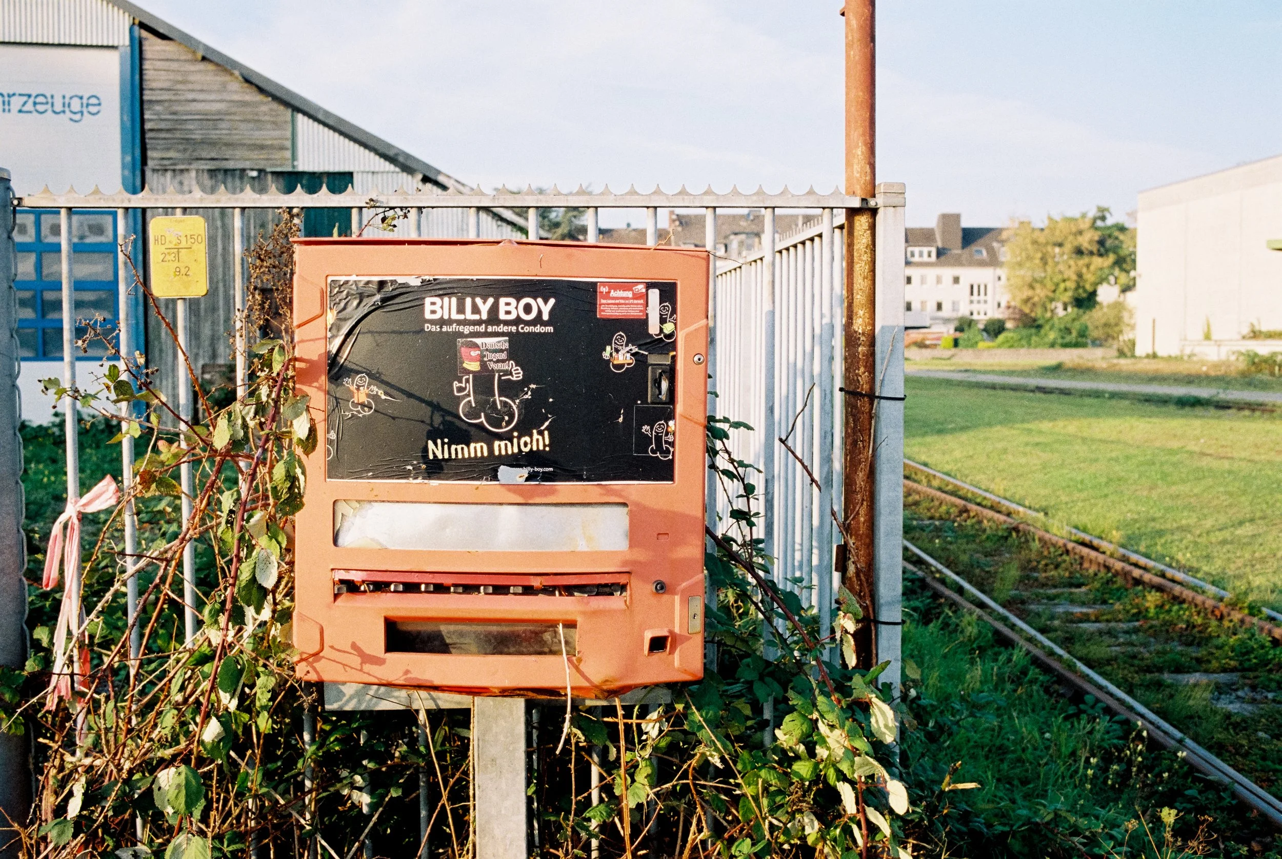 Ein Briefkasten neben einem Zaun, umgeben von Sträuchern. Auf dem Briefkasten sind Zeichnungen und Text, darunter 'BILLY BOY' und 'Nimm mich!'.