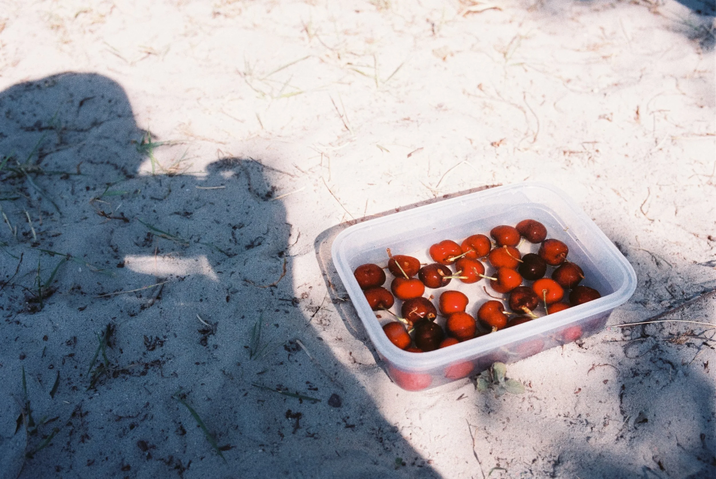 Kunstkirschen in einem transparenten Behälter auf Sand, mit Schatten im Sonnenlicht.
