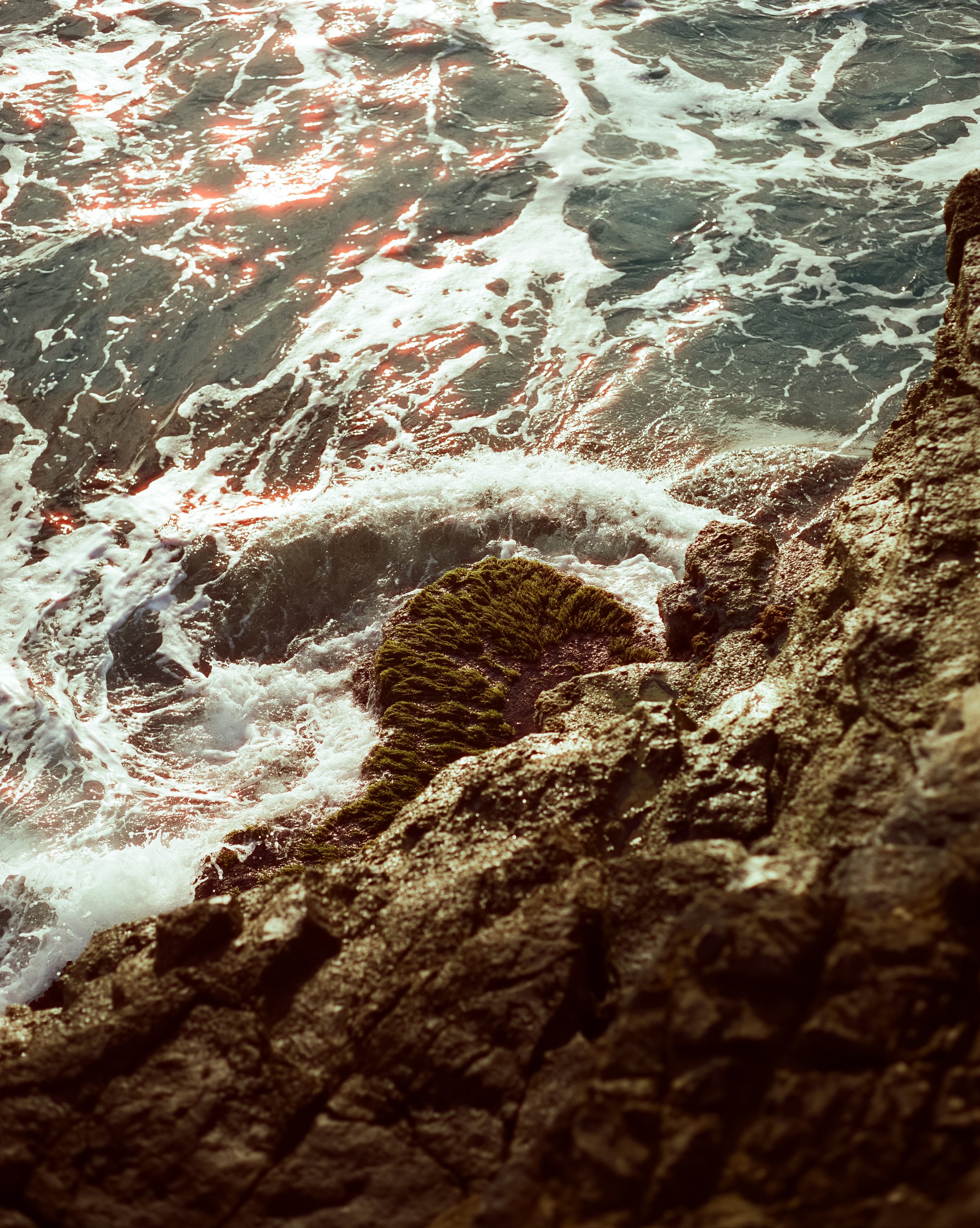 Felsen an der Küste mit Seetang und Wellen, die gegen die Steine schlagen.