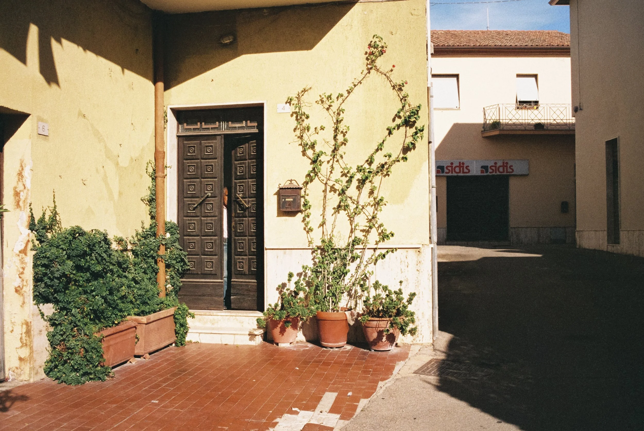 Eingangstür eines Hauses mit Topfpflanzen davor, gelbe Hausfassade, Schatten auf der Straße.