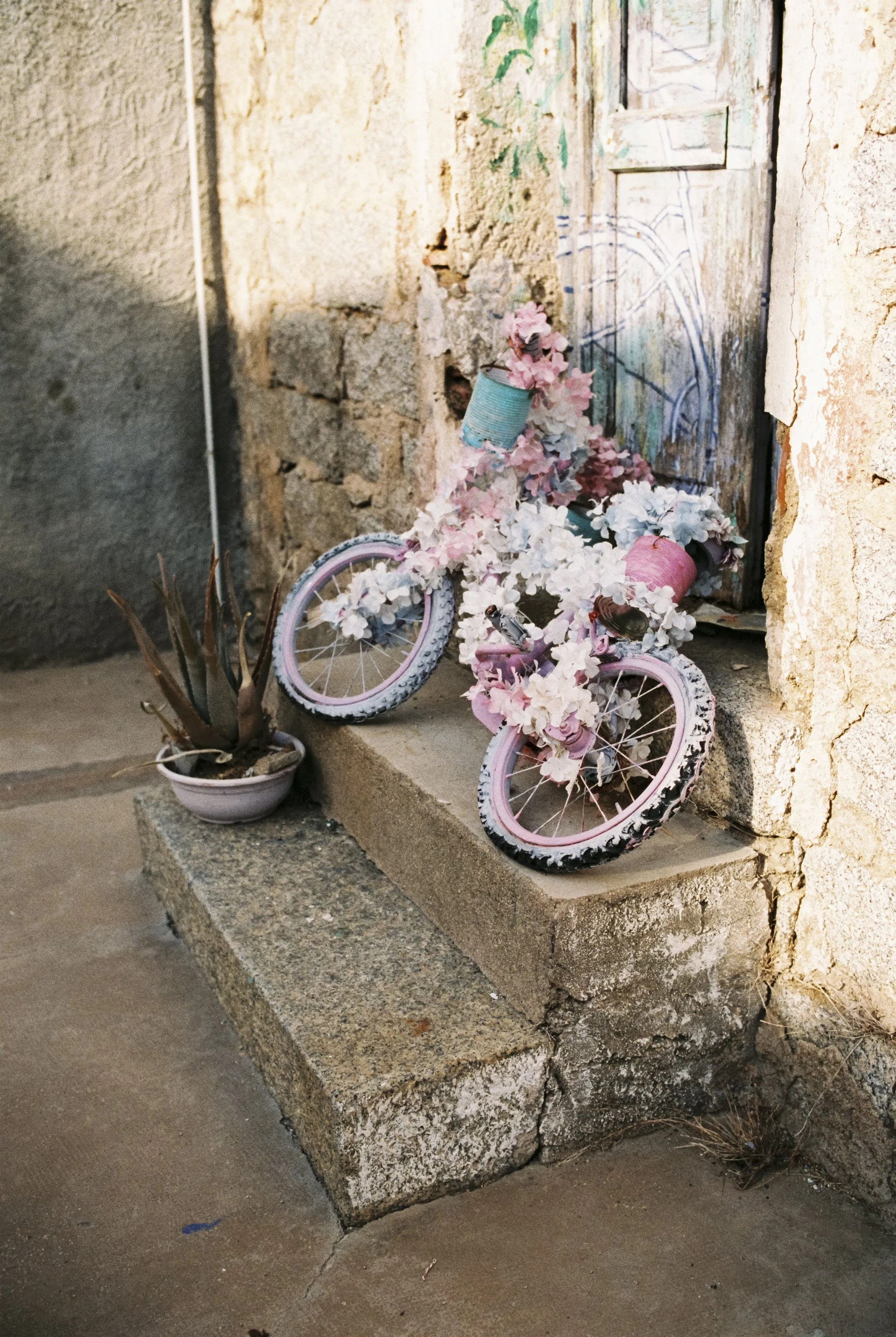 Ein rosa Fahrrad, dekoriert mit Blumen, steht auf einer Steinplattformschwelle vor einer alten, bemalten Wand.