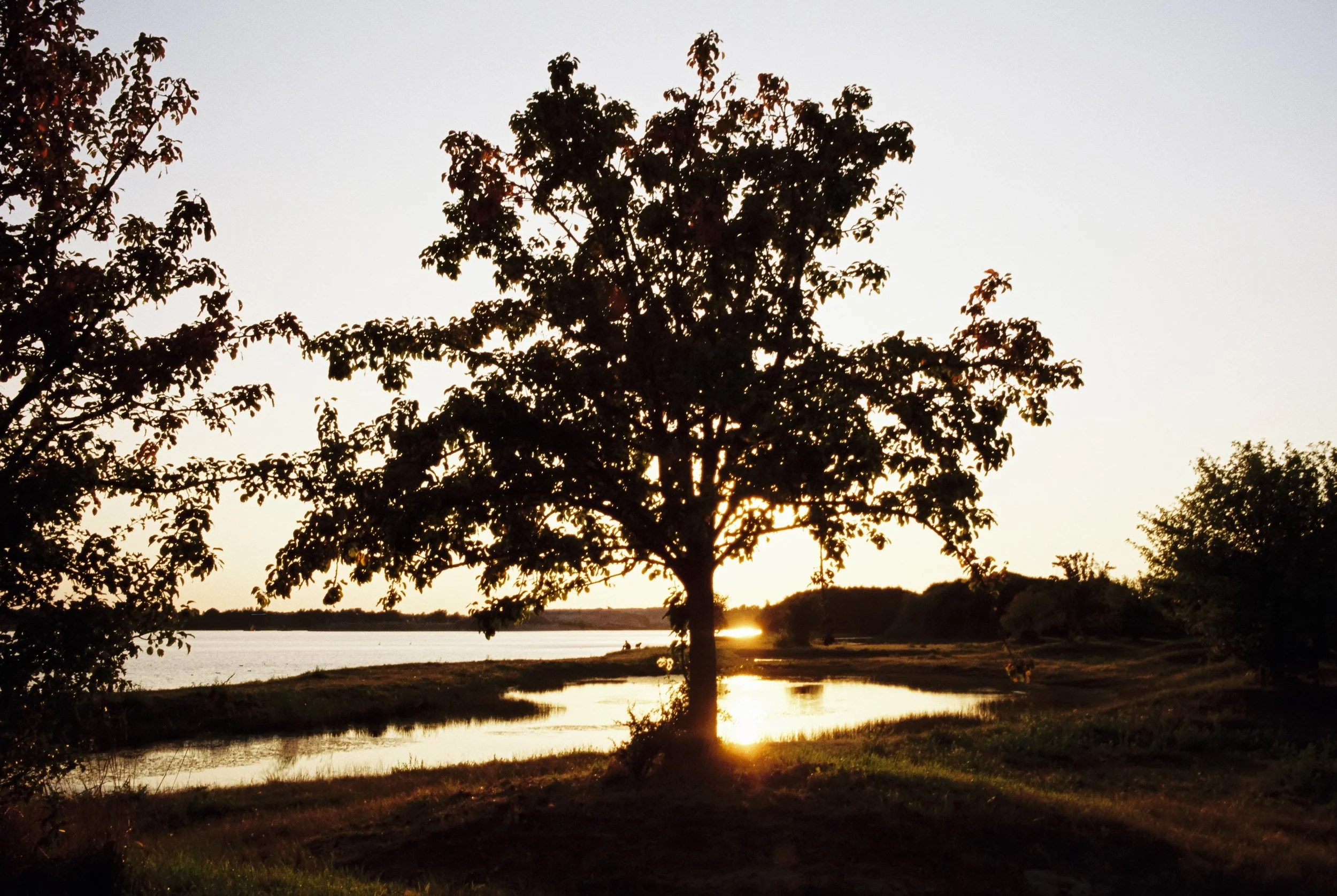 Ein Baum steht an einem Fluss bei Sonnenuntergang, die Sonne ist gerade im Horizont sichtbar
