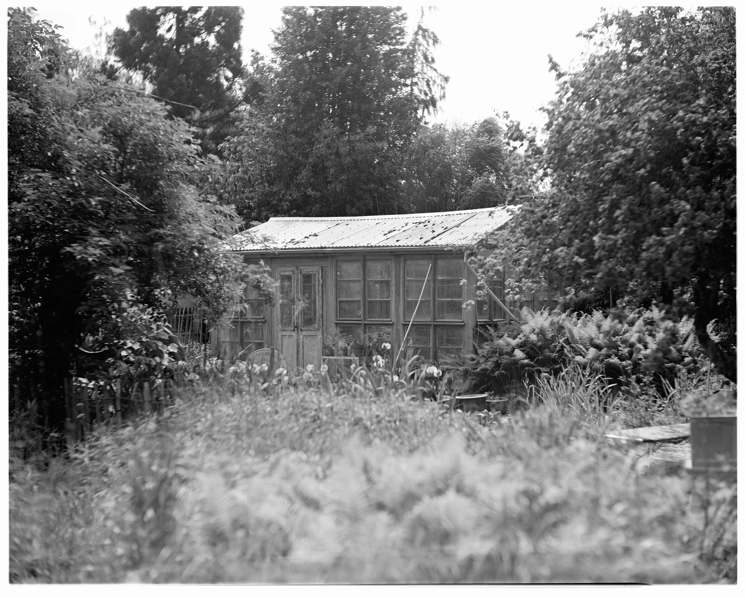 Ein altes Holzhaus mit einer welligen Metallbedingung, umgeben von Büschen und Bäumen in einem Garten im Grünen.